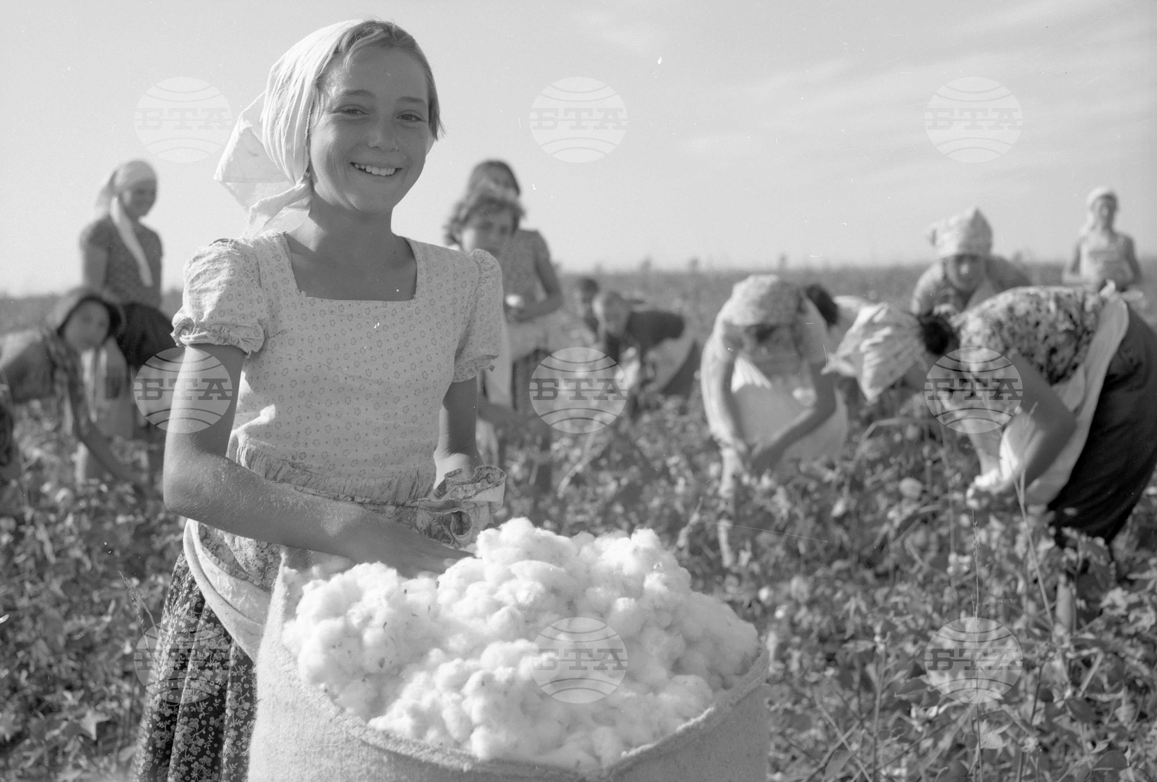 Трудово кооперативно земеделско стопанство (ТКЗС) село Горна Студена, Търновски окръг
