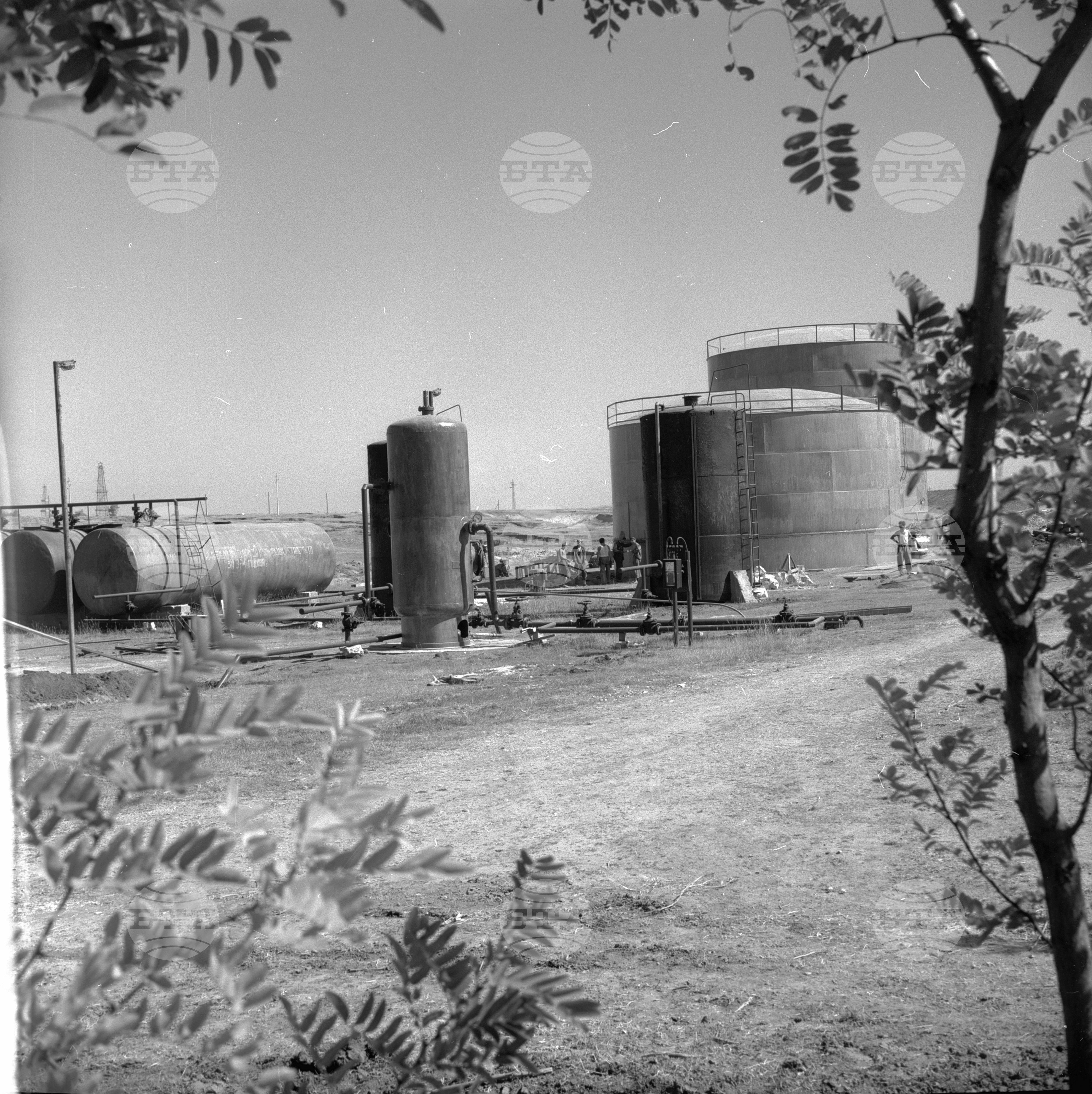 Роден нефт край село Долни дъбник, Плевенско
