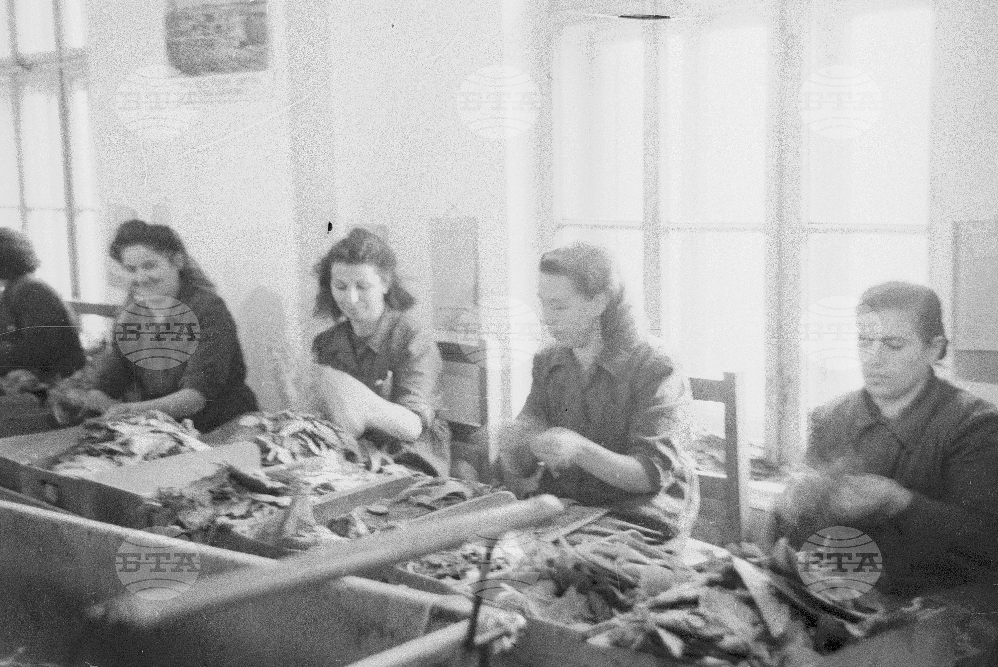 Ирина Боянова предава своя опит, 1951