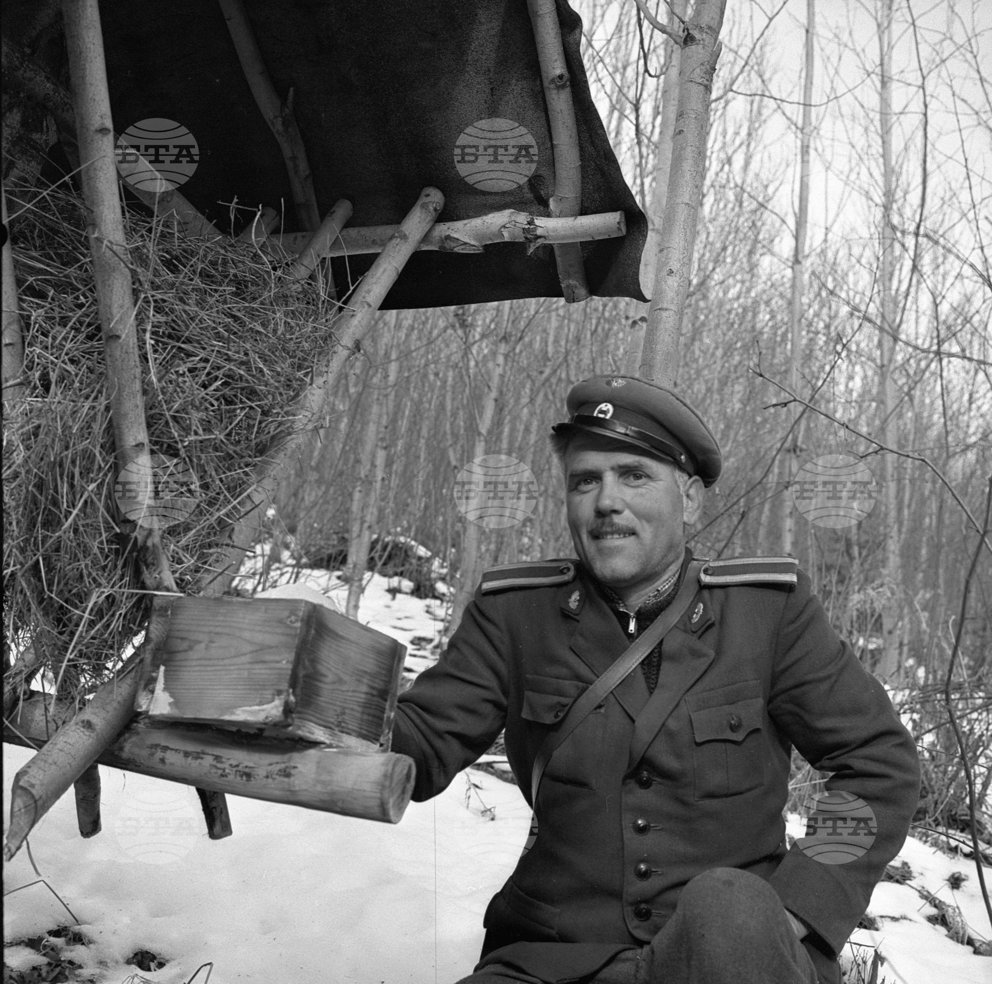 Горско стопанство в град Самоков - 1972 година