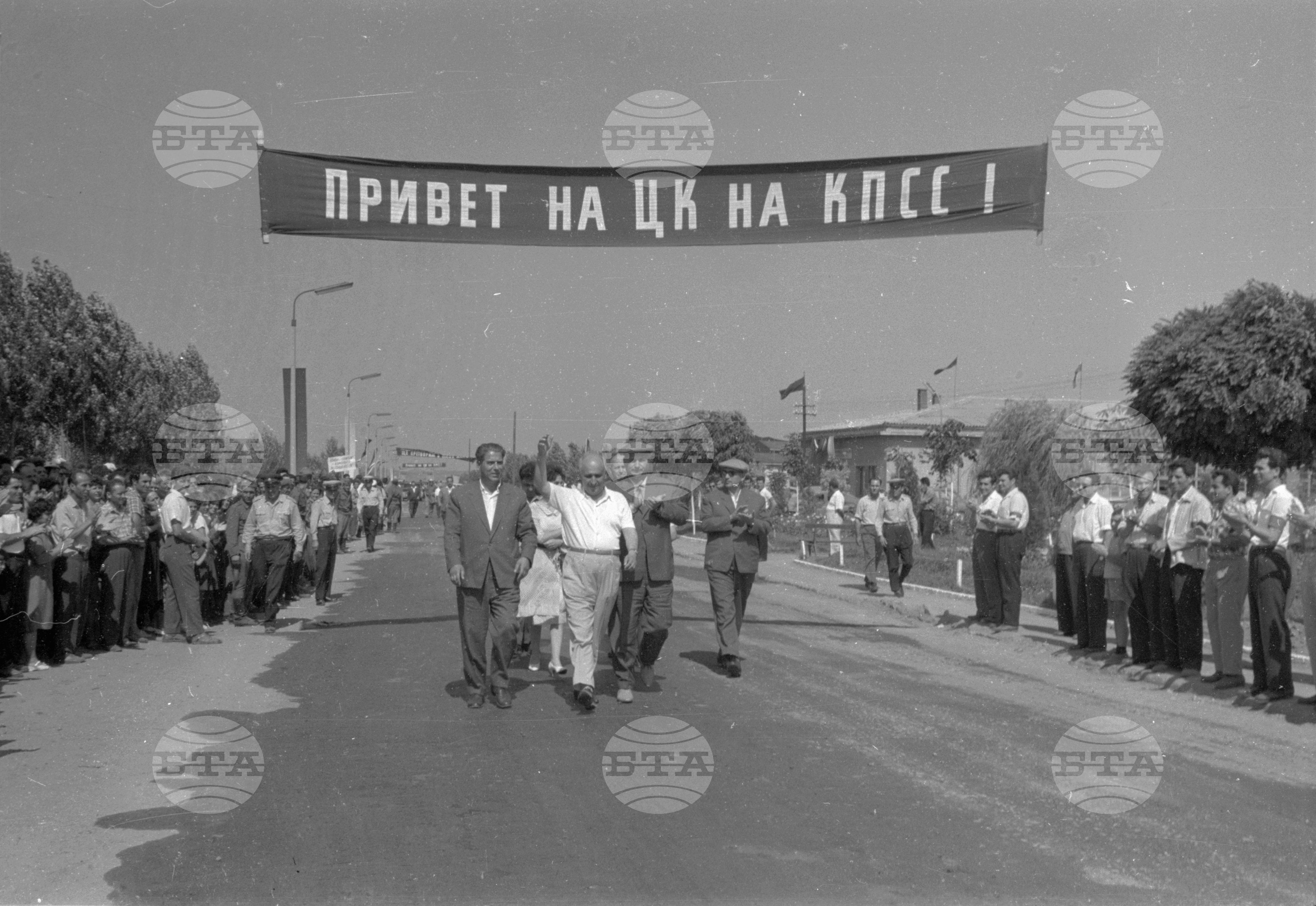 Жътва в ТКЗС "Г. Димитров" с. Оризово - Старозагорски окръг