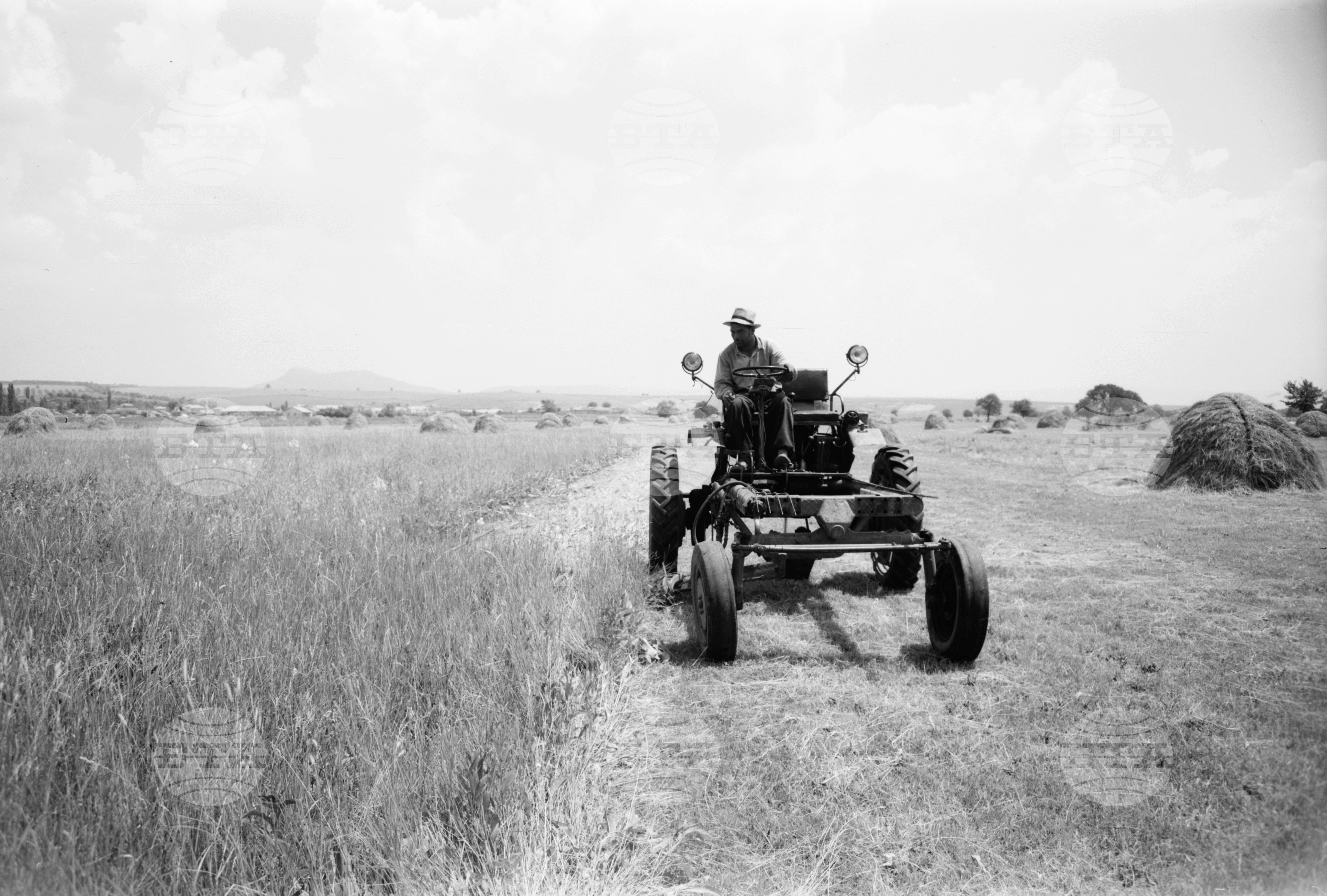Из Търговищки окръг 1963 годишна