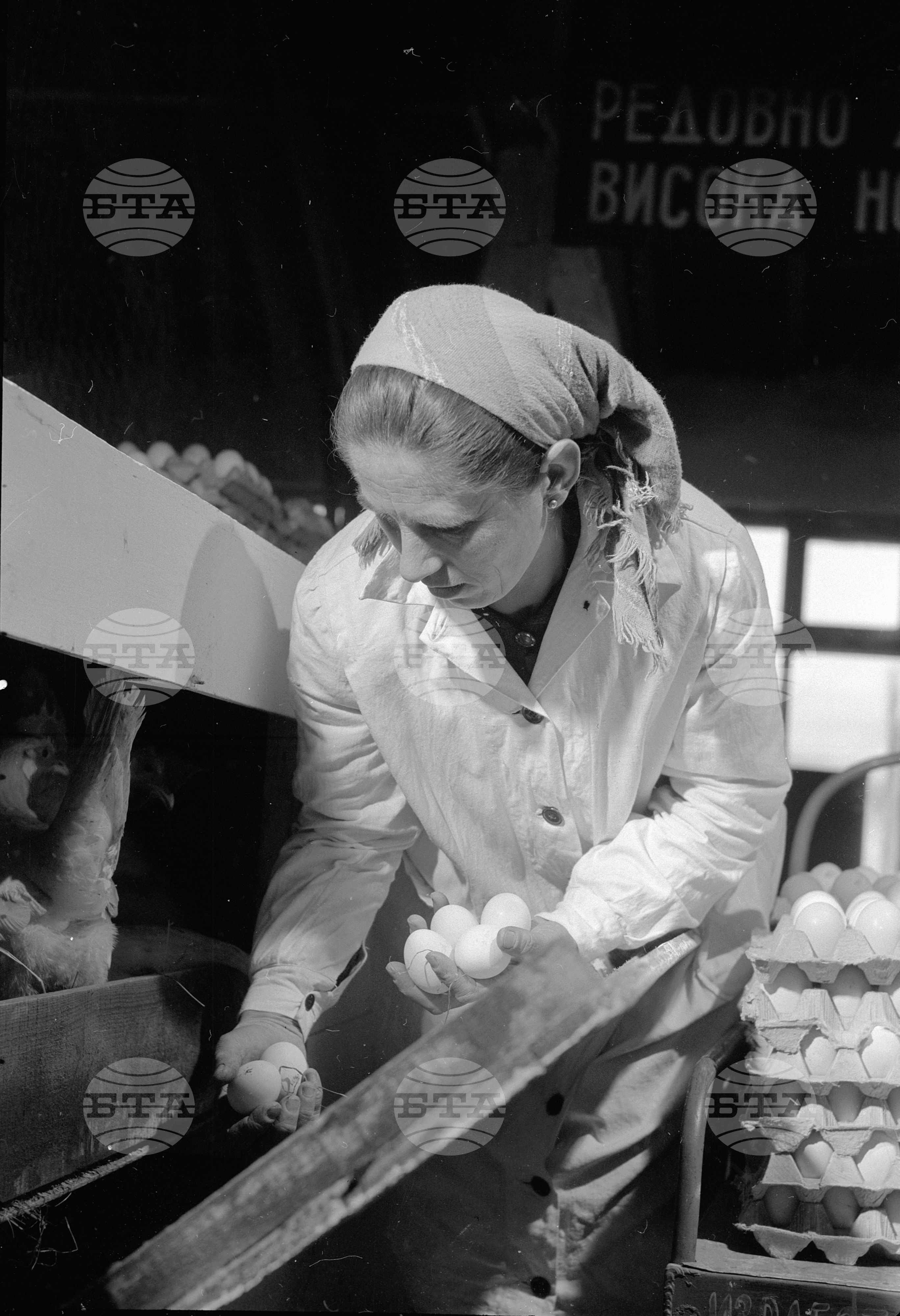 При птицегледачката Атанаска Козарска
