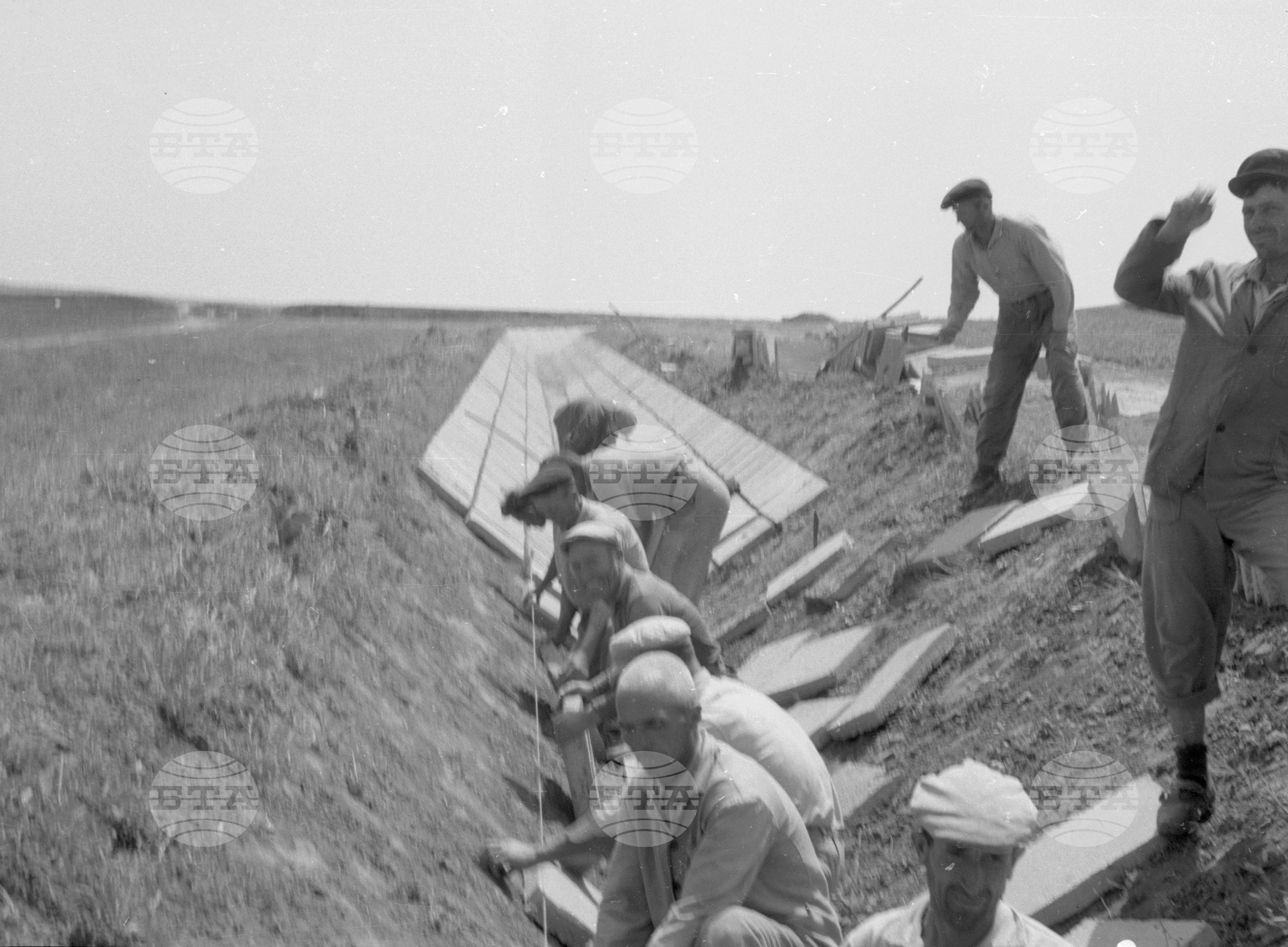Снимки от Видински окръг - 1963