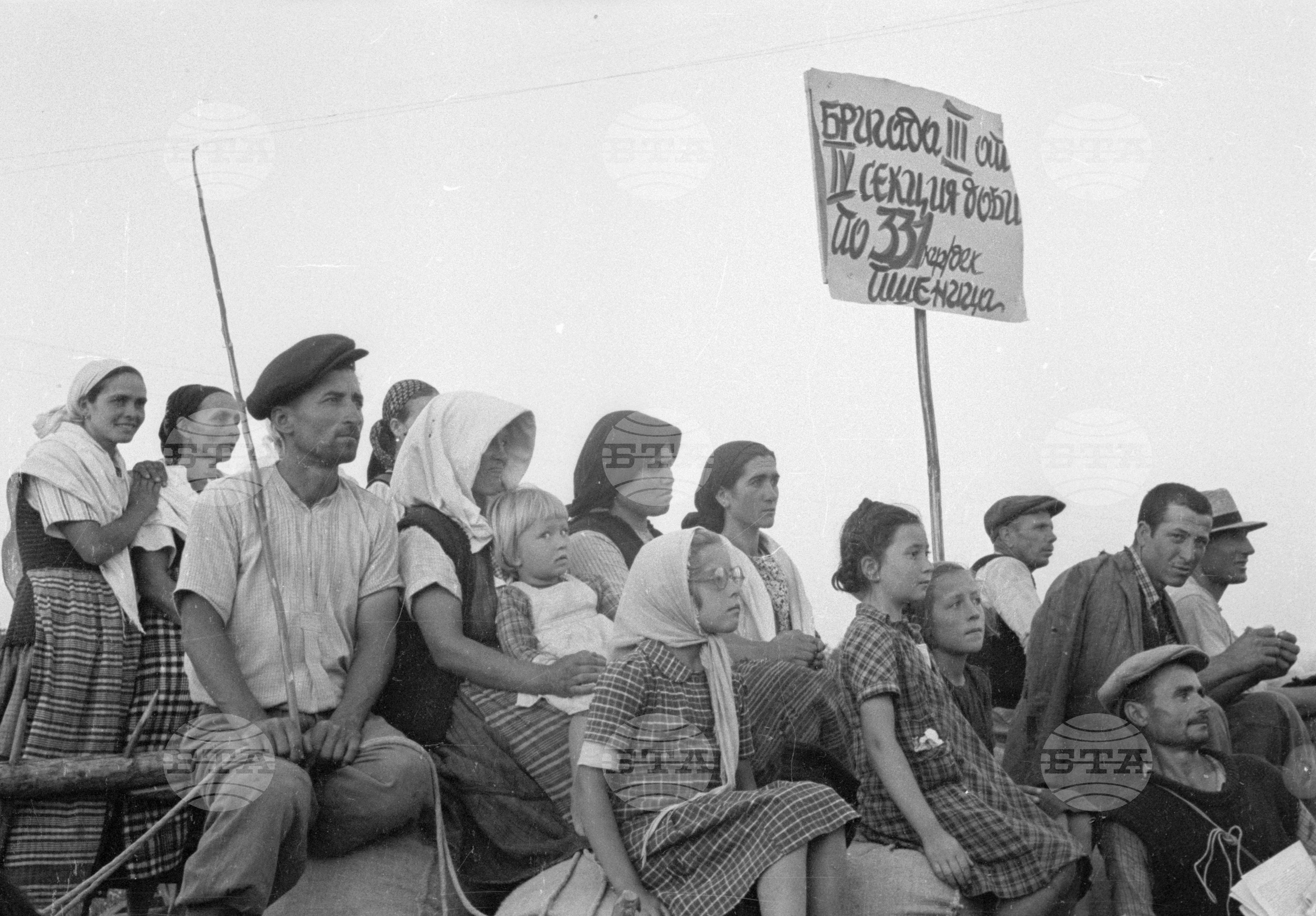 Предаване на зърнодоставки в Голямо Конаре (днес град Съединение), 1951