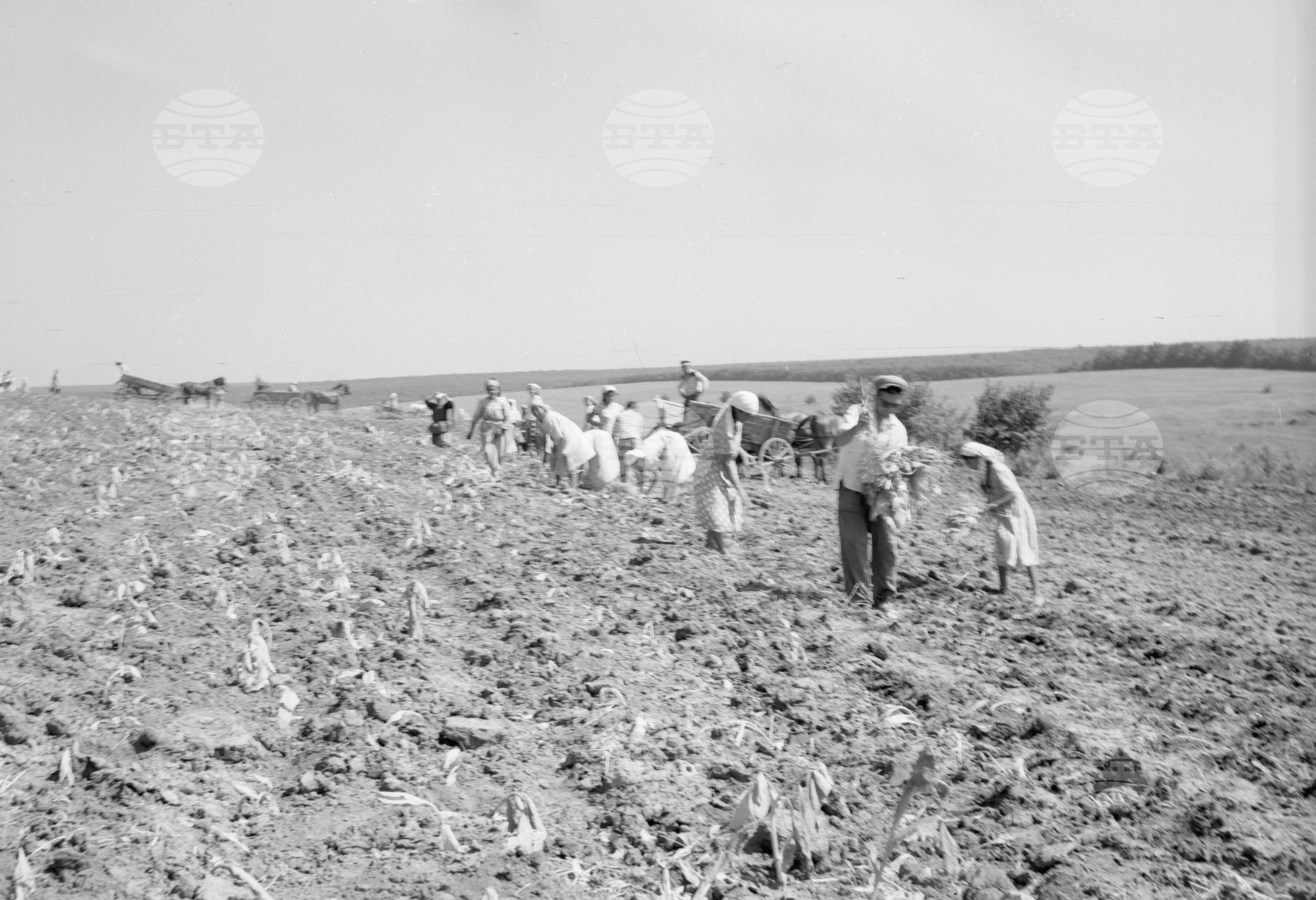 Из Разградски окръг - 1963
