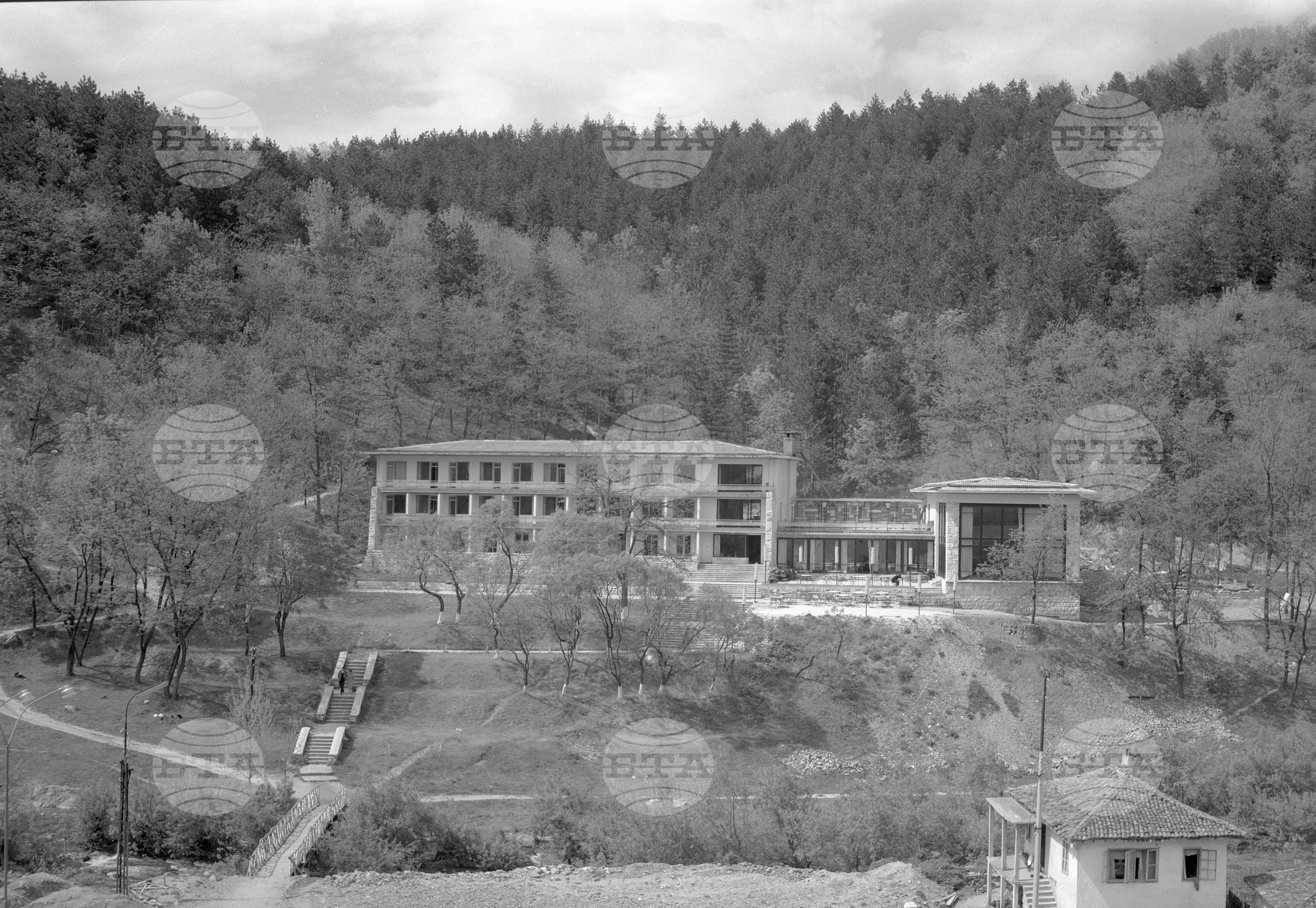 Град Берковица - 1963 година