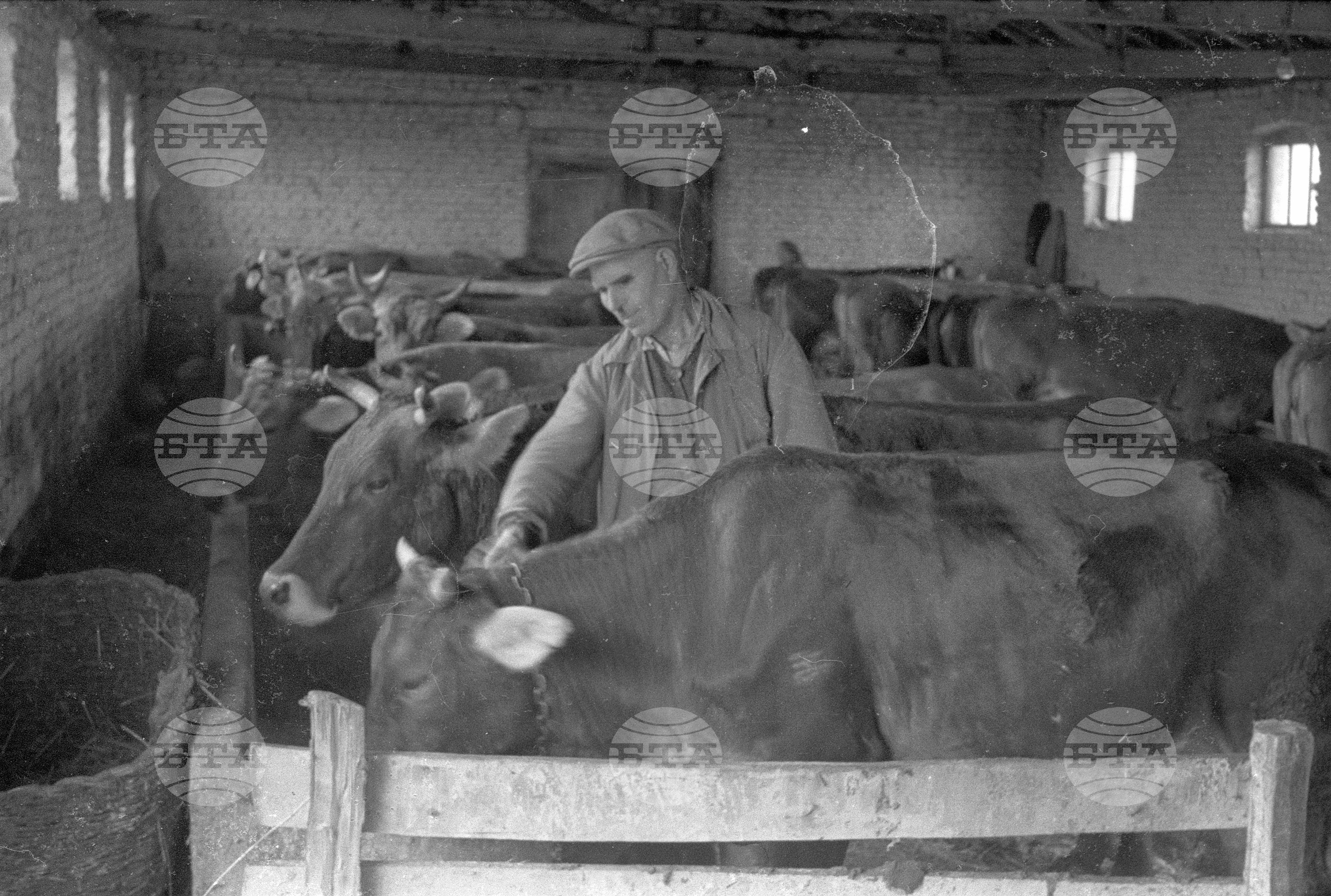 Трудово кооперативното земеделско стопанство (ТКЗС) - Софийска област