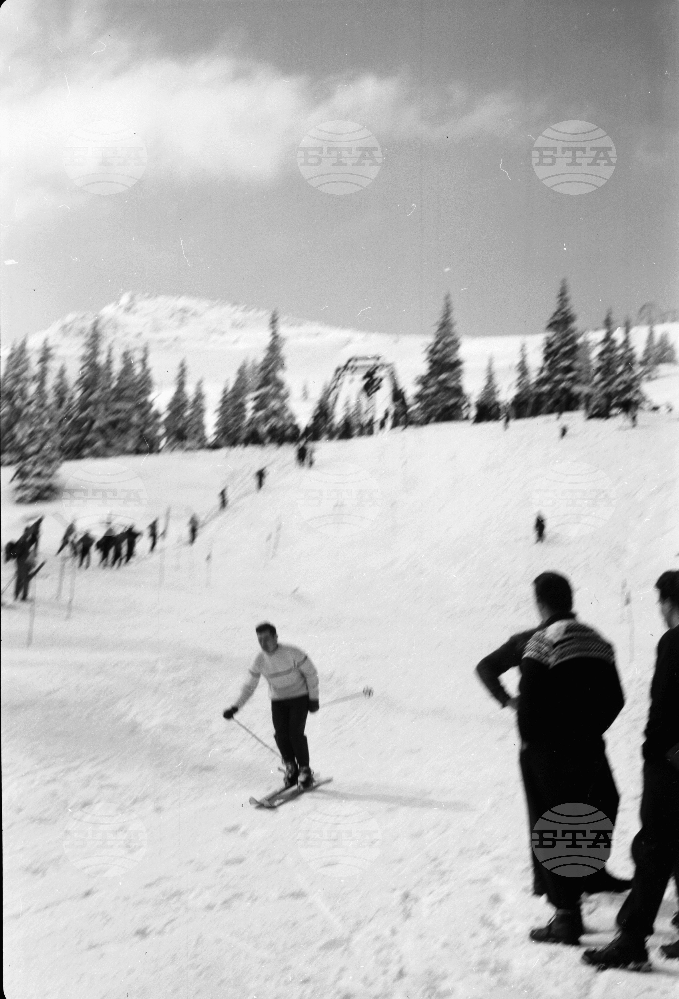 Международни ски състезания за купата "Алеко" - 1961 година