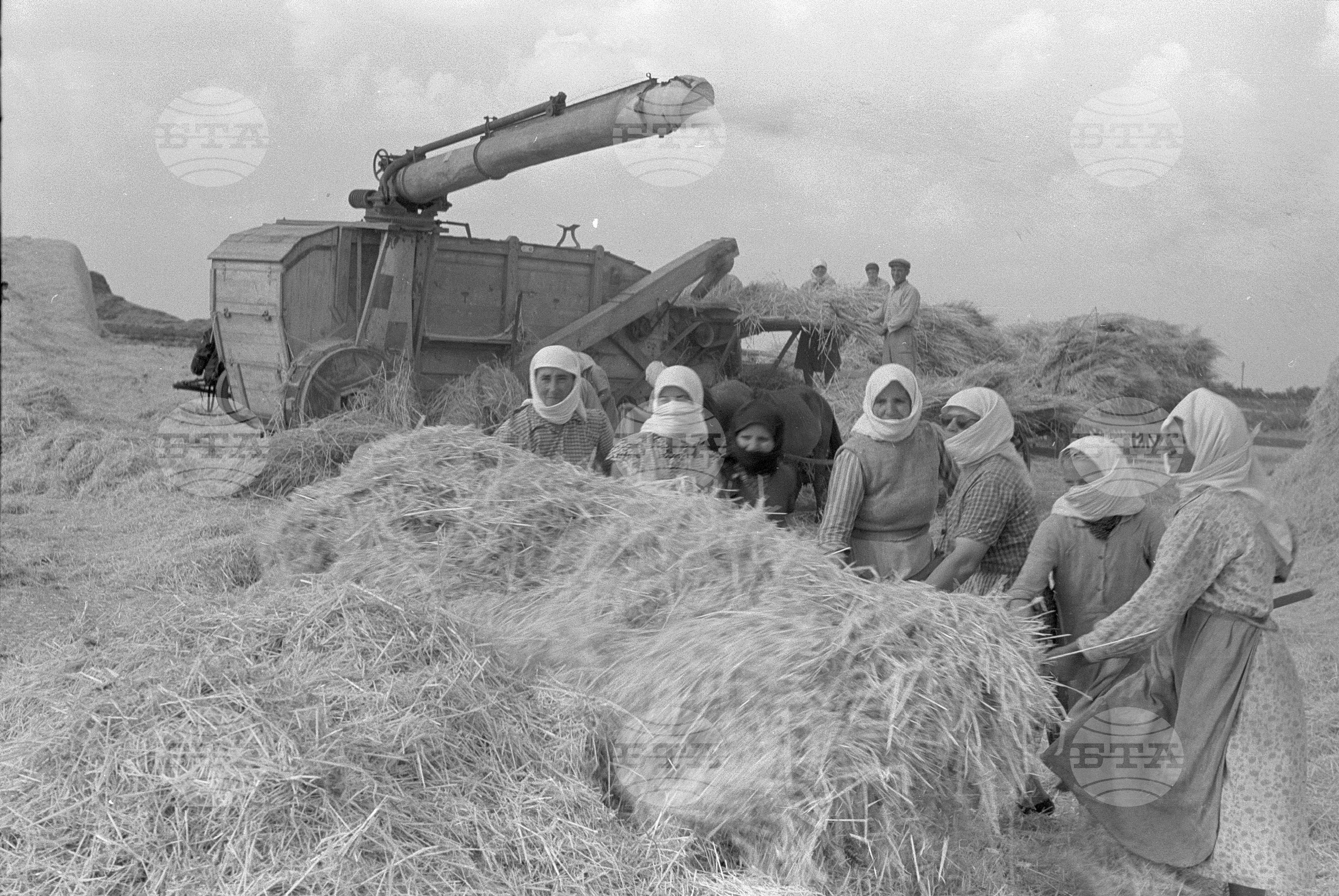 Трудово-кооперативно земеделско стопанство (ТКЗС) "Васил Коларов" в село Било, Балчишко
