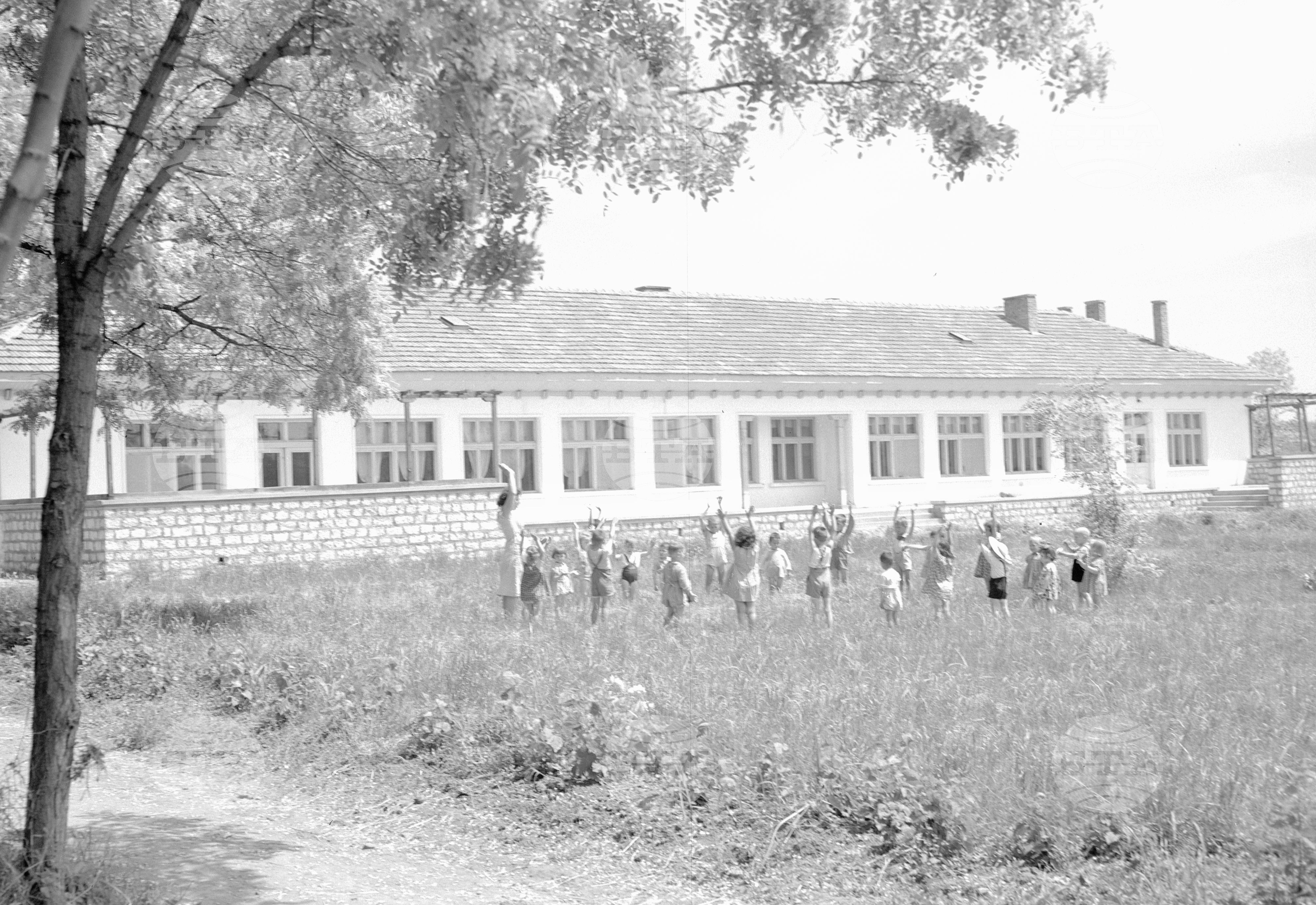 Из ДЗС (Държавно земеделско стопанство) "Георги Димитров" - край град Плевен (илюстрация на тема за списание "Новоя Болгария")