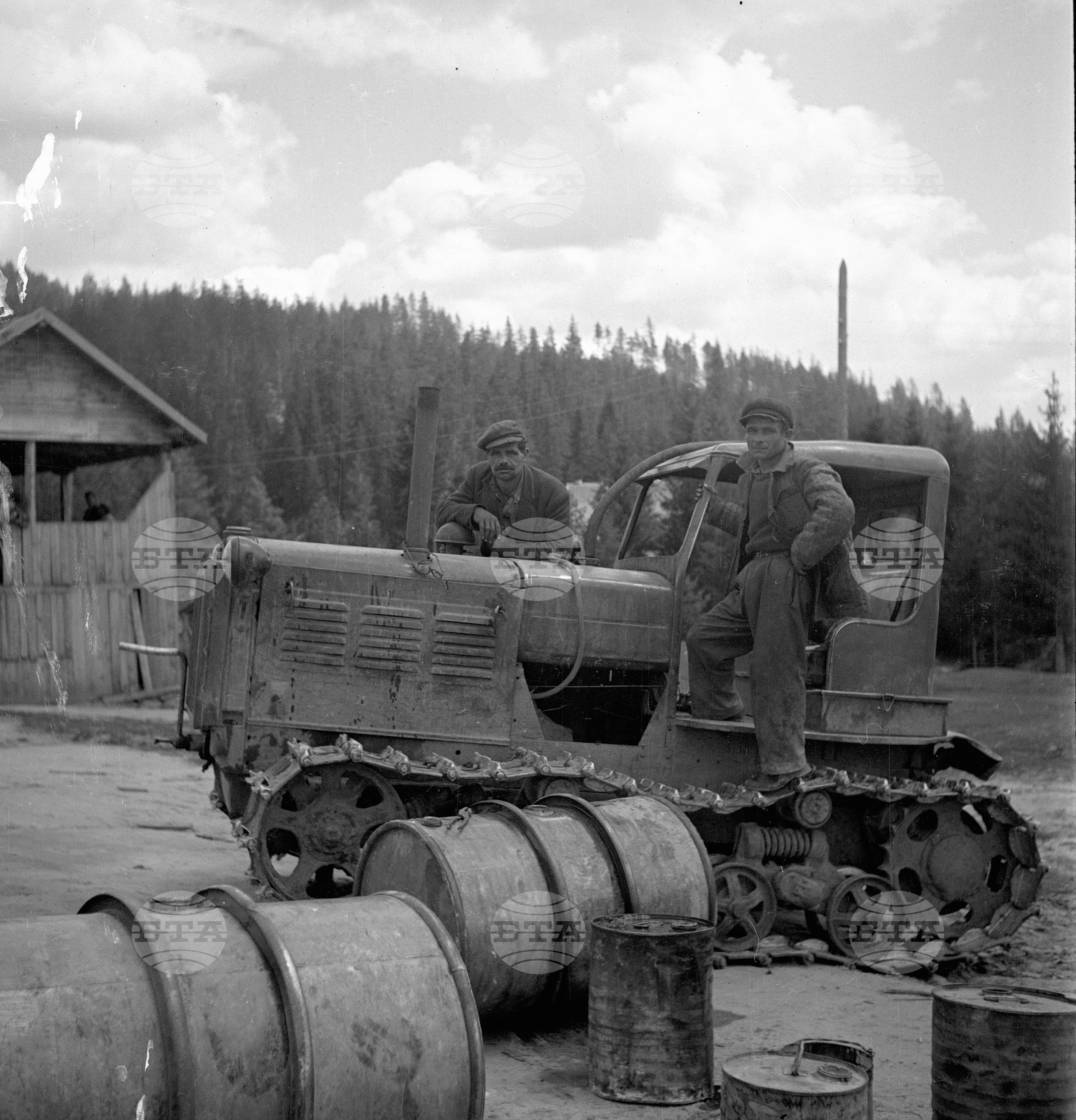Дърводобив в държавни горски стопанства, 1951 - част 6