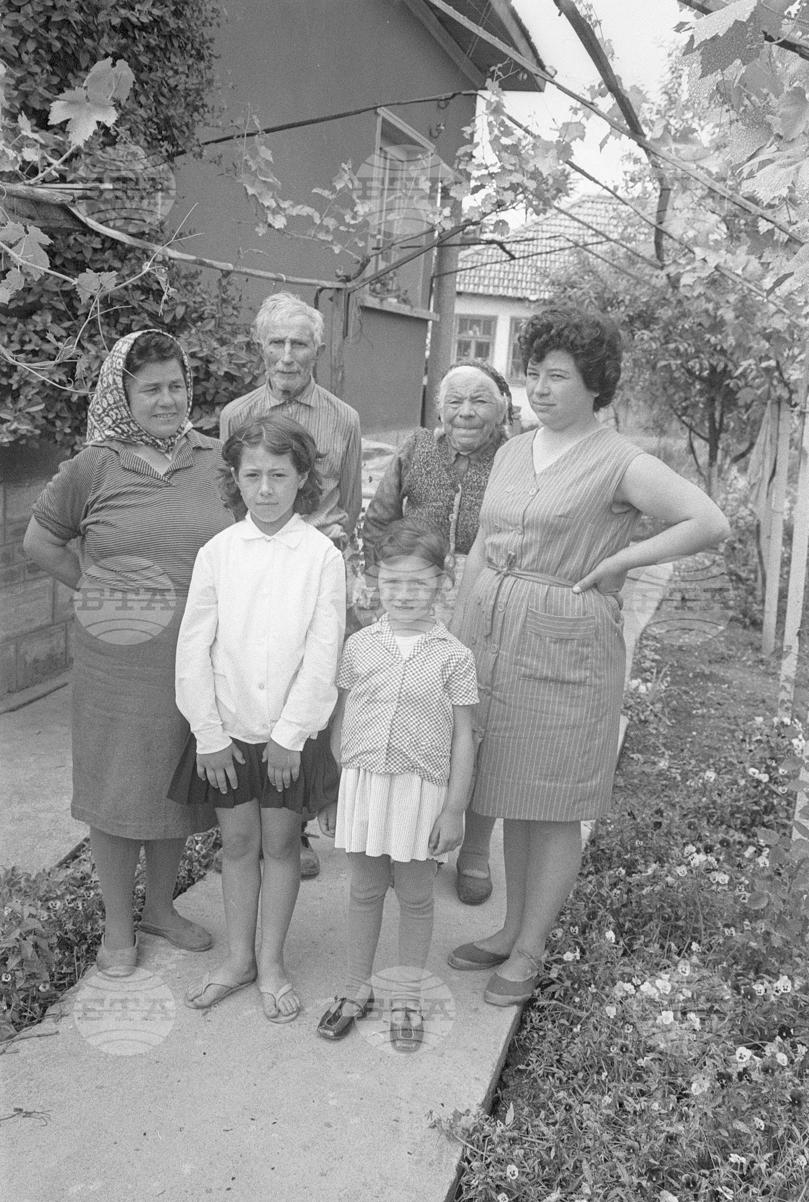 Семейство 1971 година