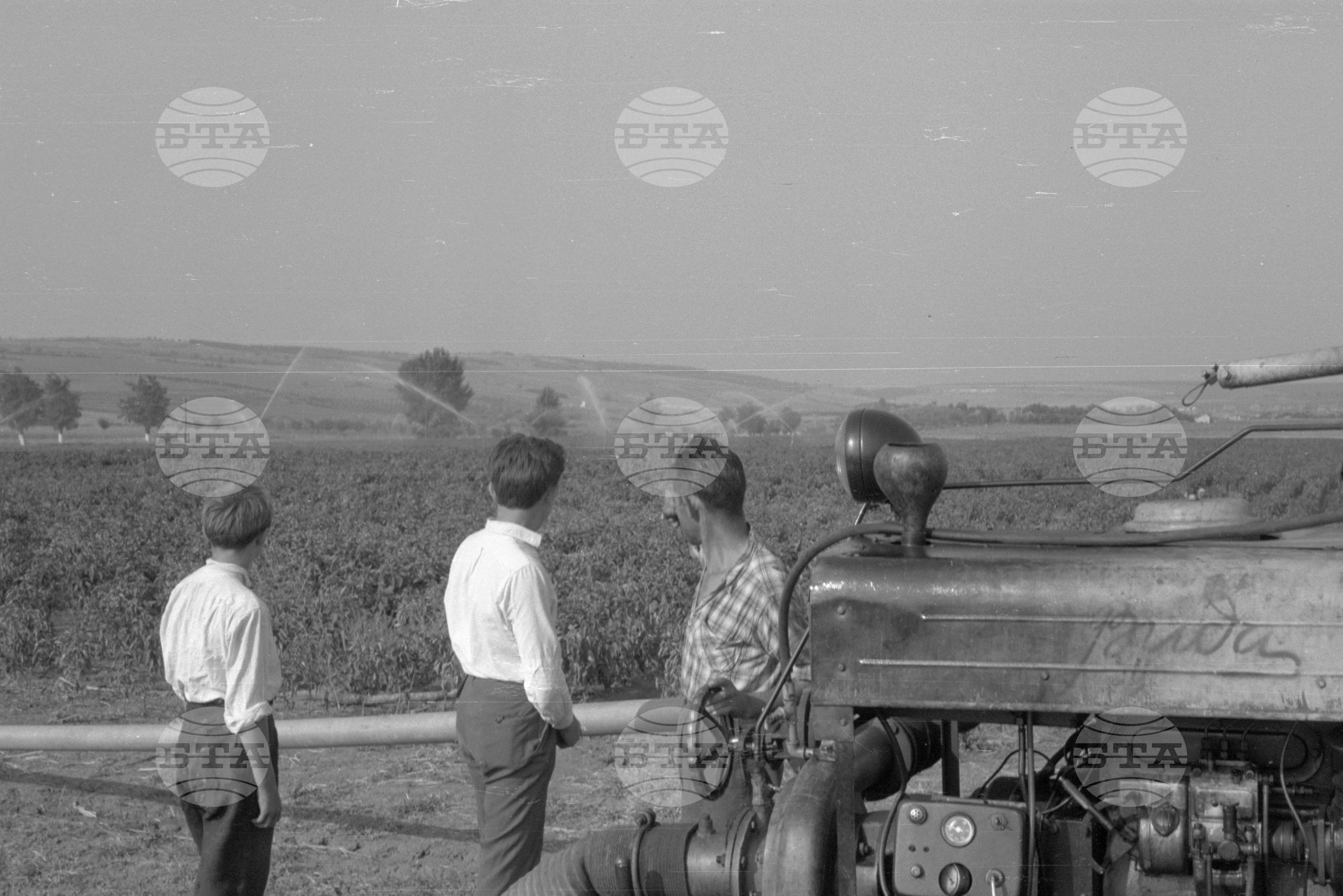 Из Видински окръг 1963 година