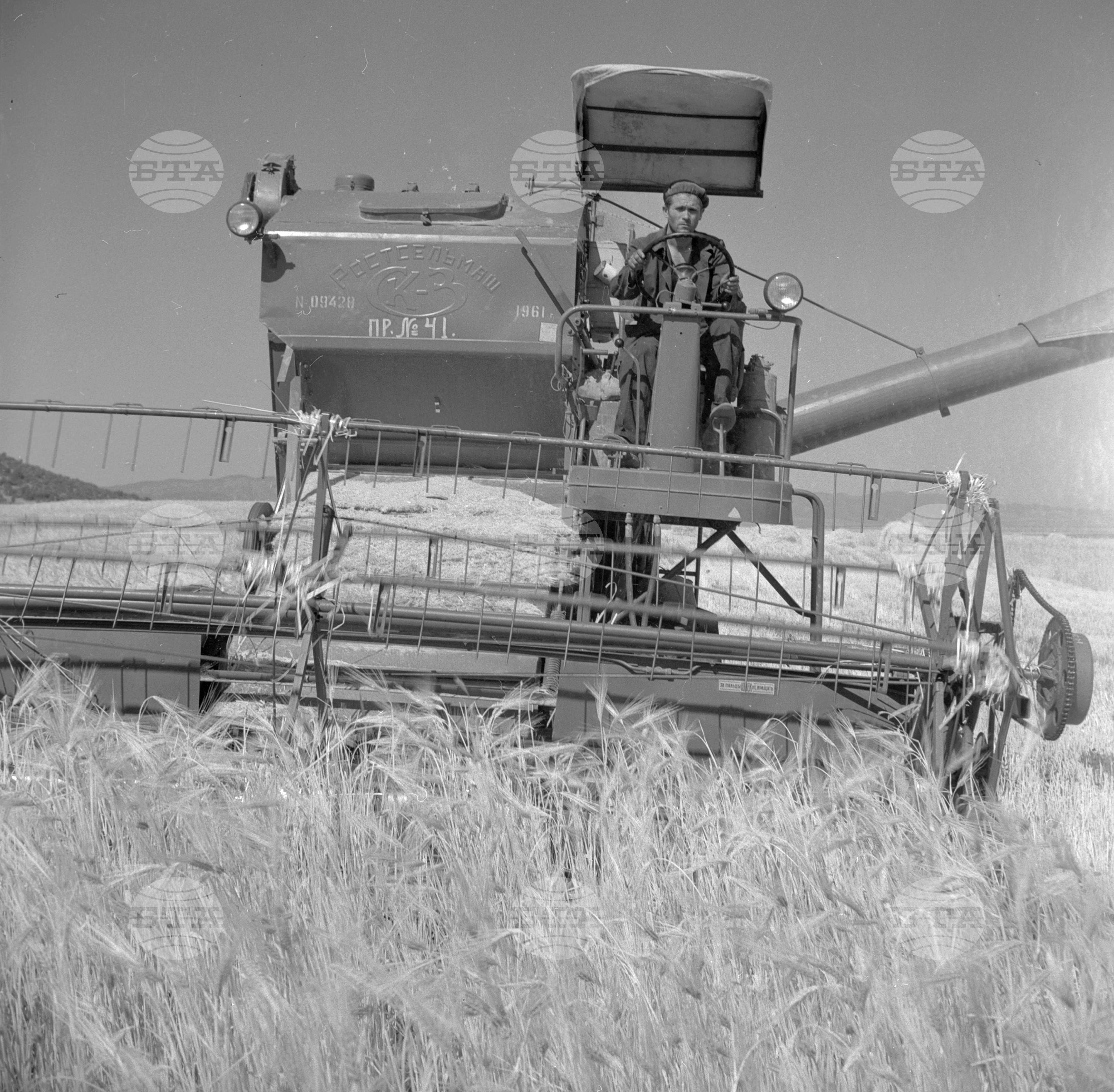 Жътва 1962 година