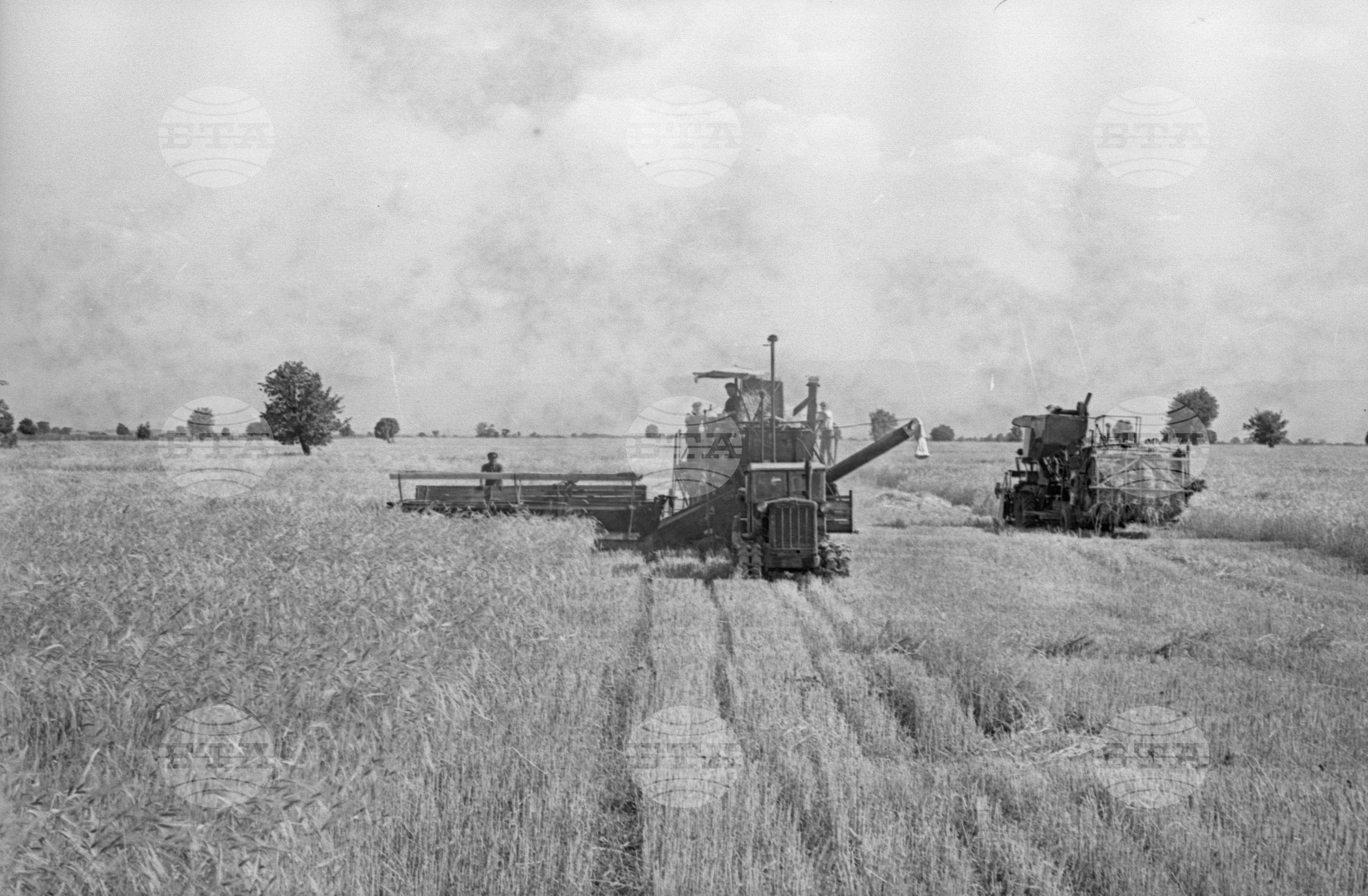 село Маноле, втора Пловдивска околия