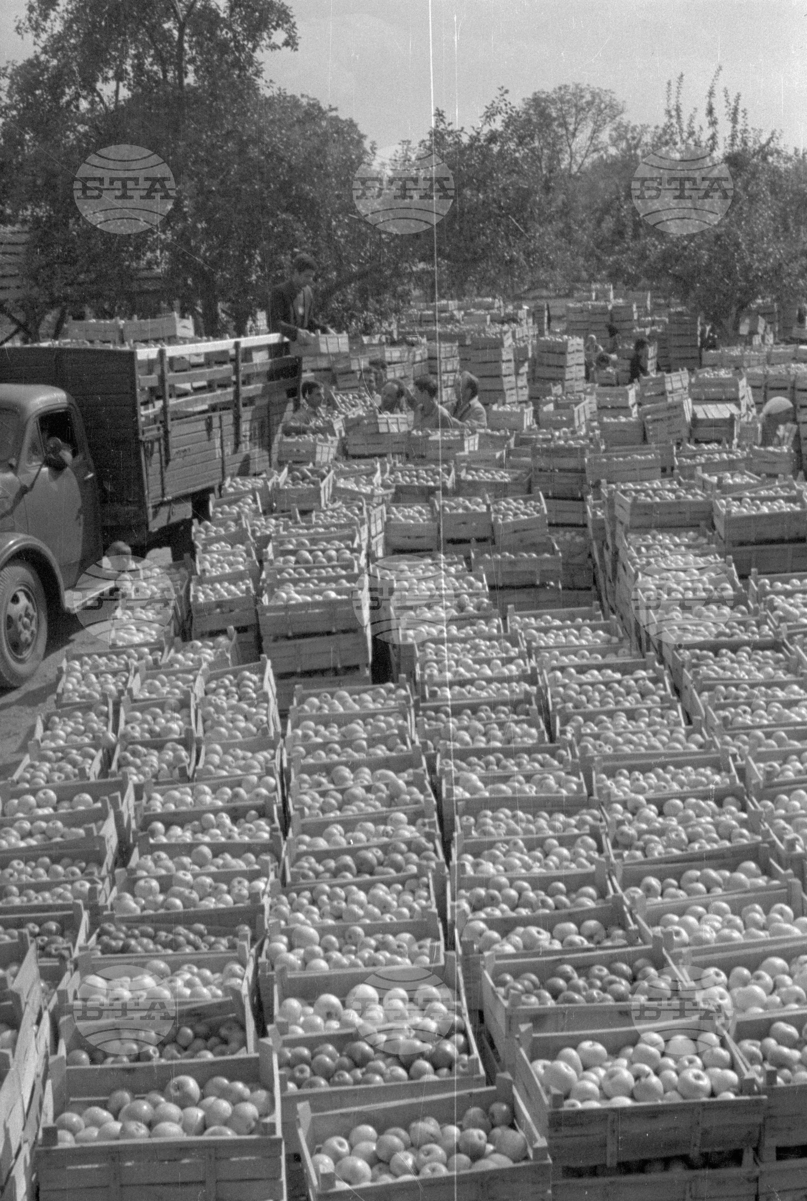Из Кюстендилски окръг - септември 1962 година