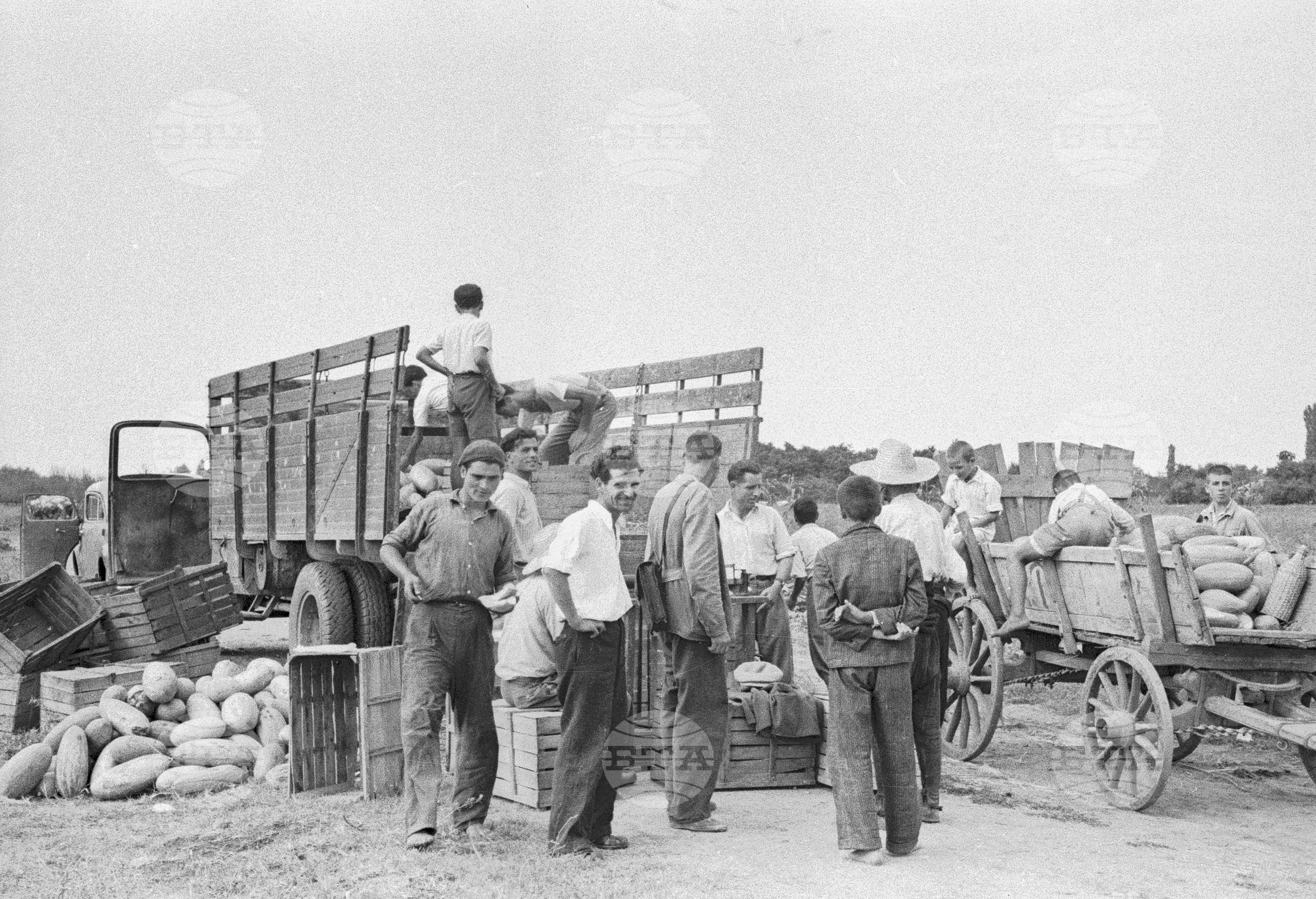 Откриване на гимназията в Перущица, 1951