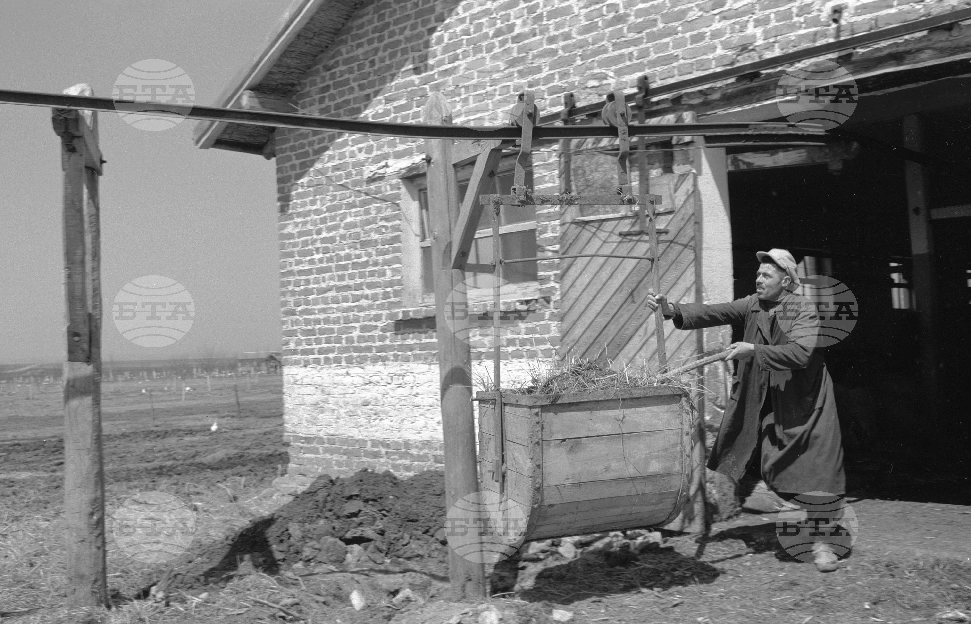 ТКЗС (Трудово-кооперативното земеделско стопанство) "Георги Димитров" в село Веселиново, Ямболско