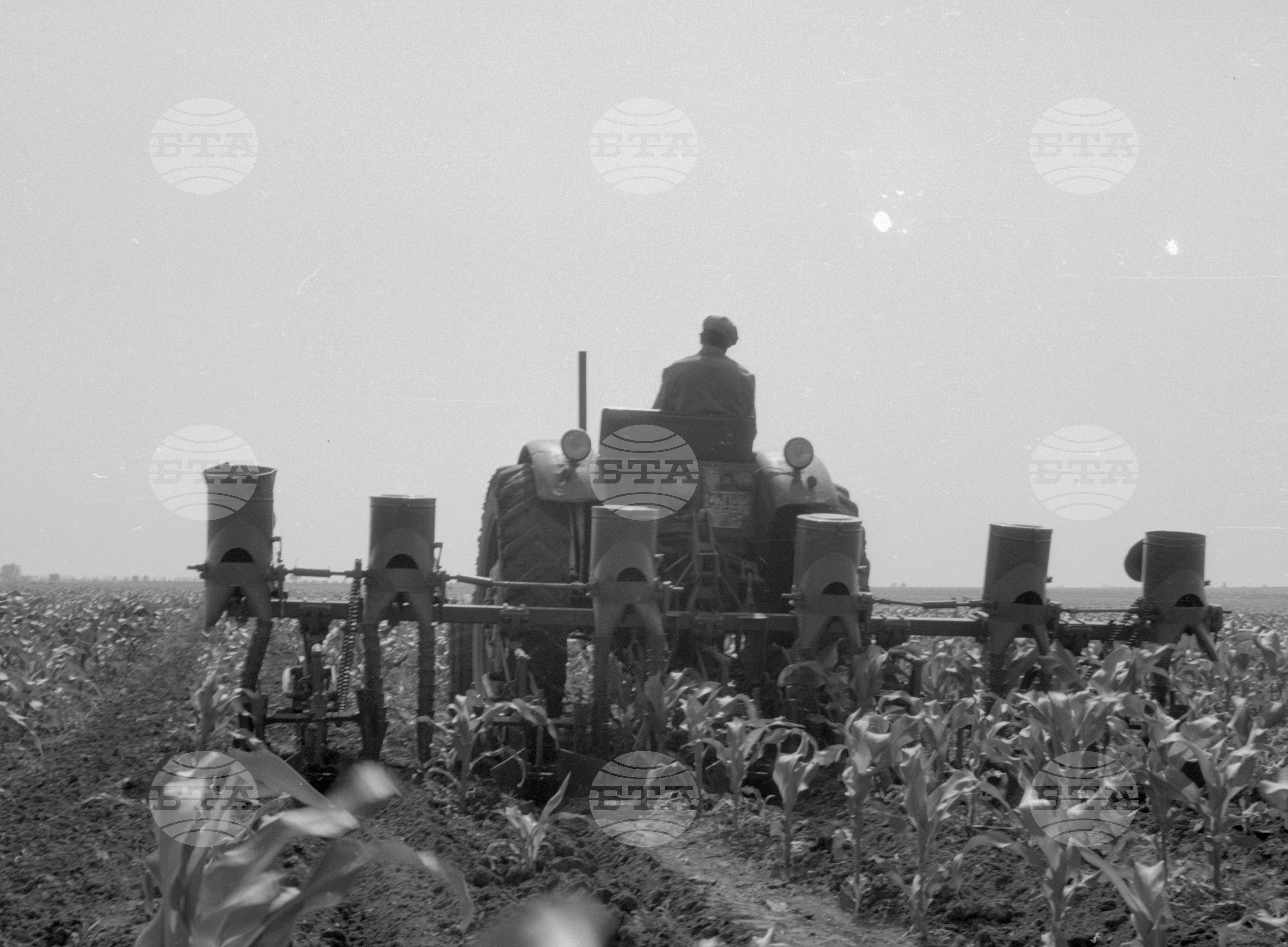 Снимки от Видински окръг - 1963