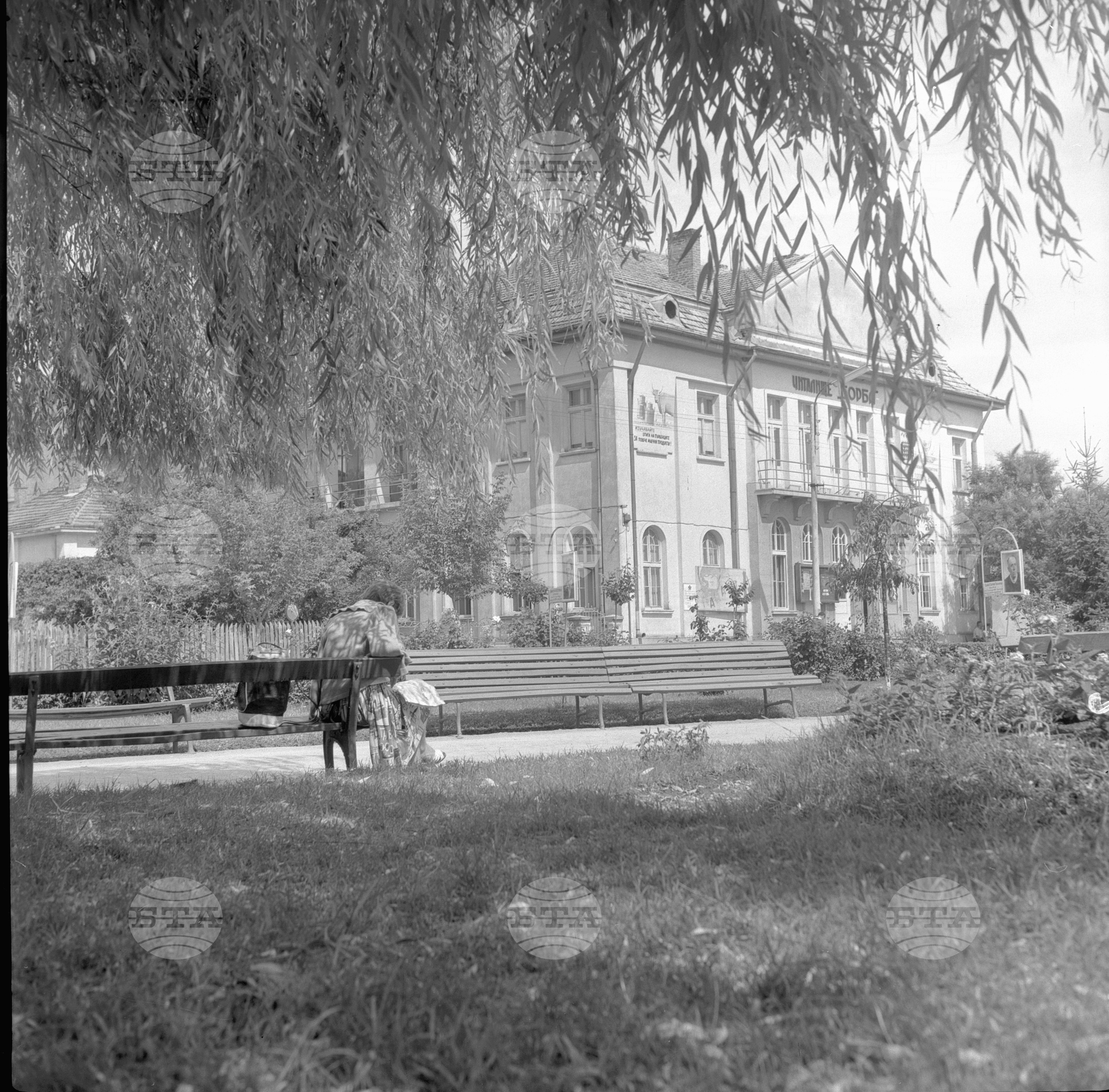 Град Кнежа В Снимки - 1963