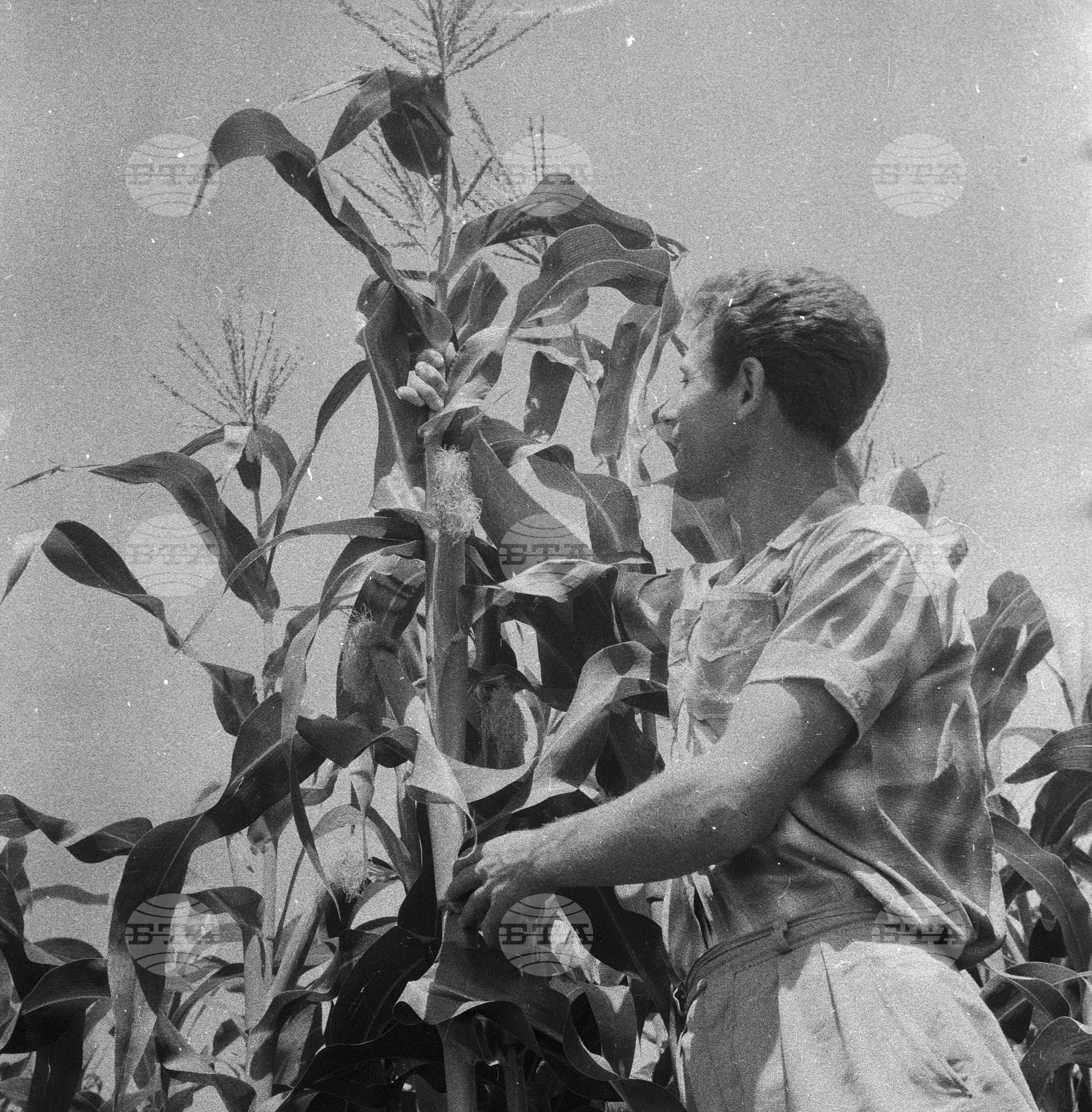 Из Старозагорски окръг 1963 година