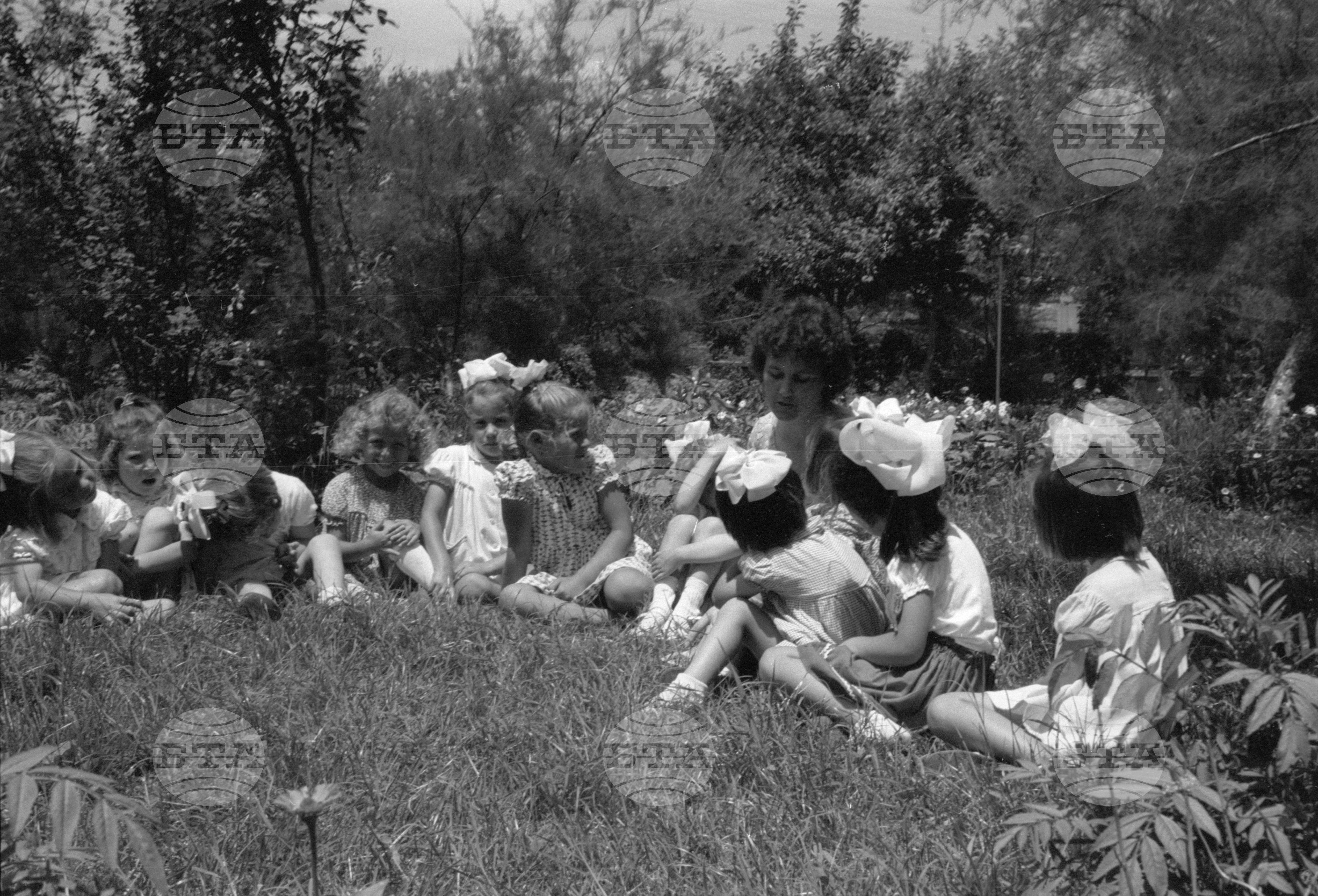 Жътва 1963 година