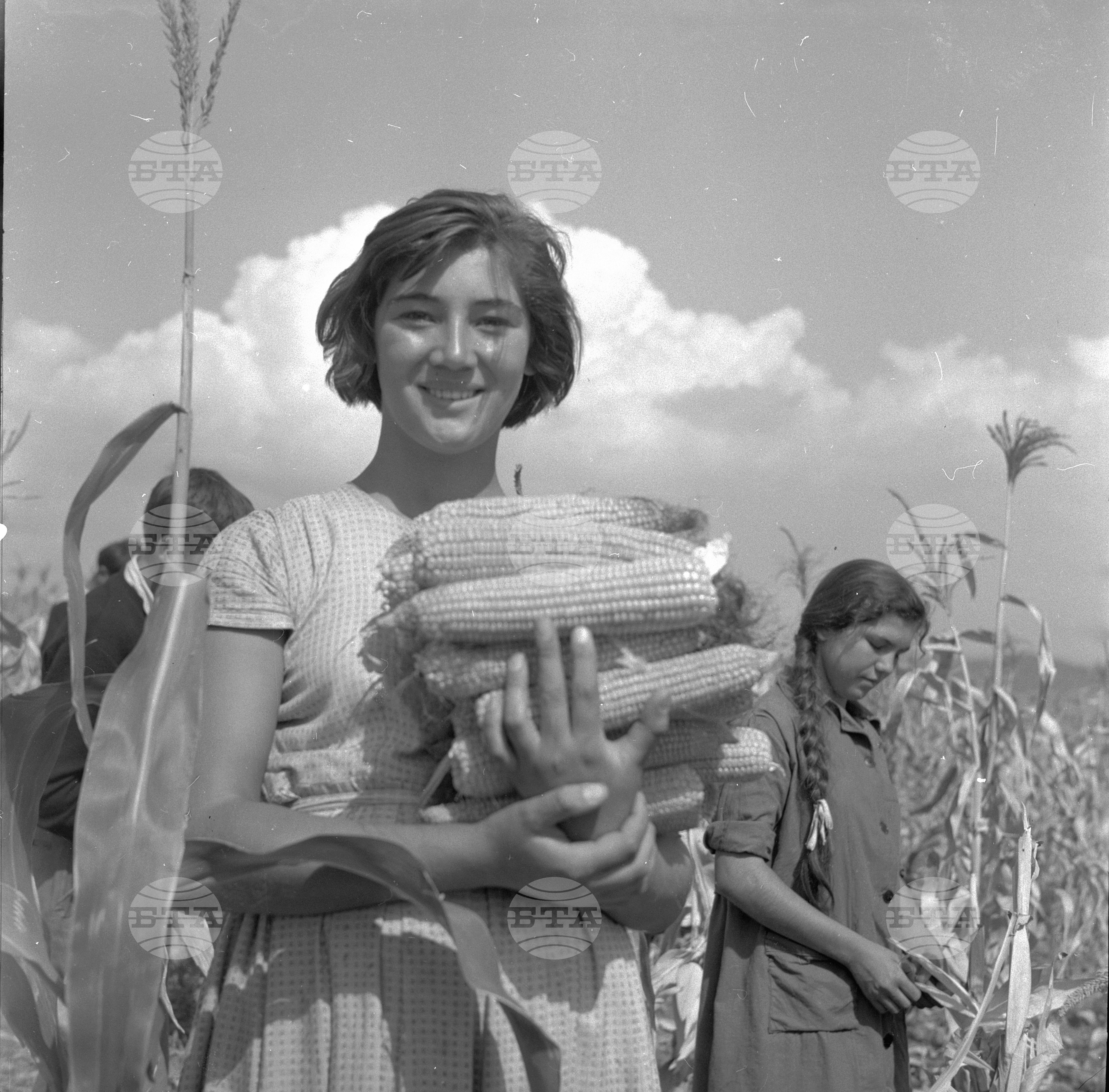 На бригада 1962 година