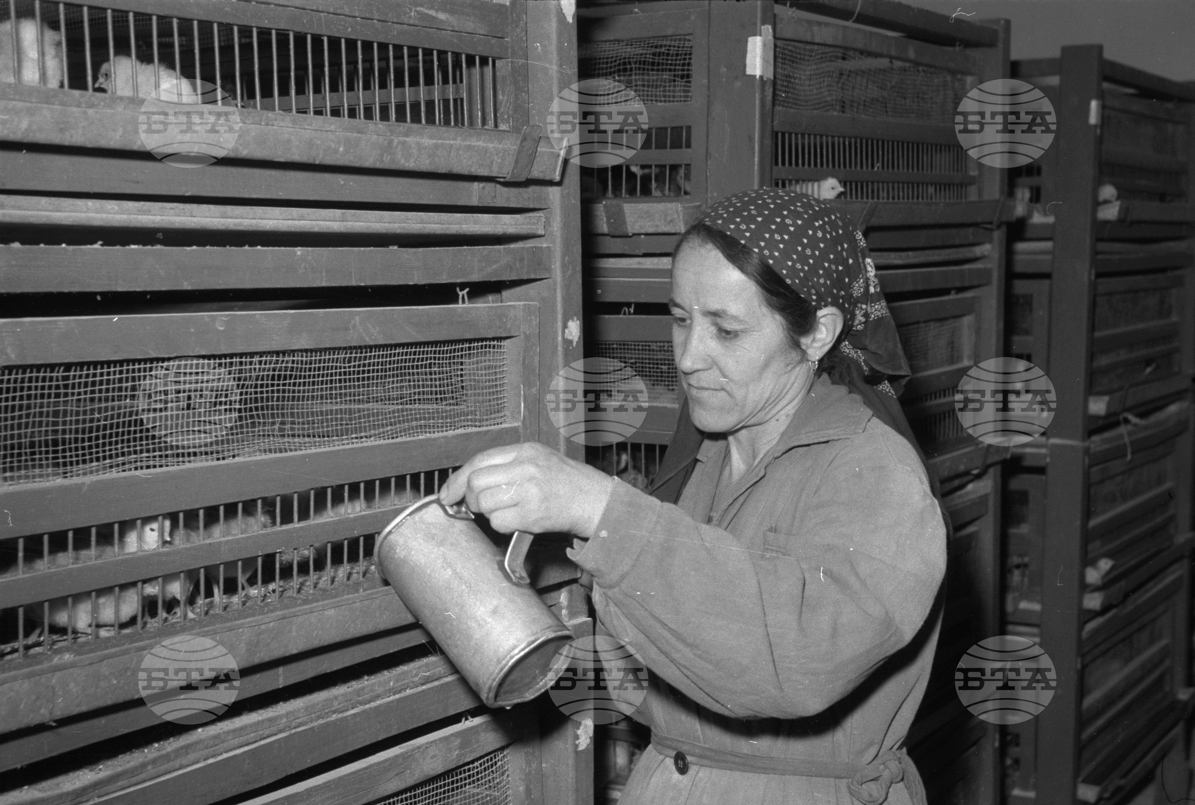 При работниците от люпилнята на ОТП Разград - клон град Исперих
