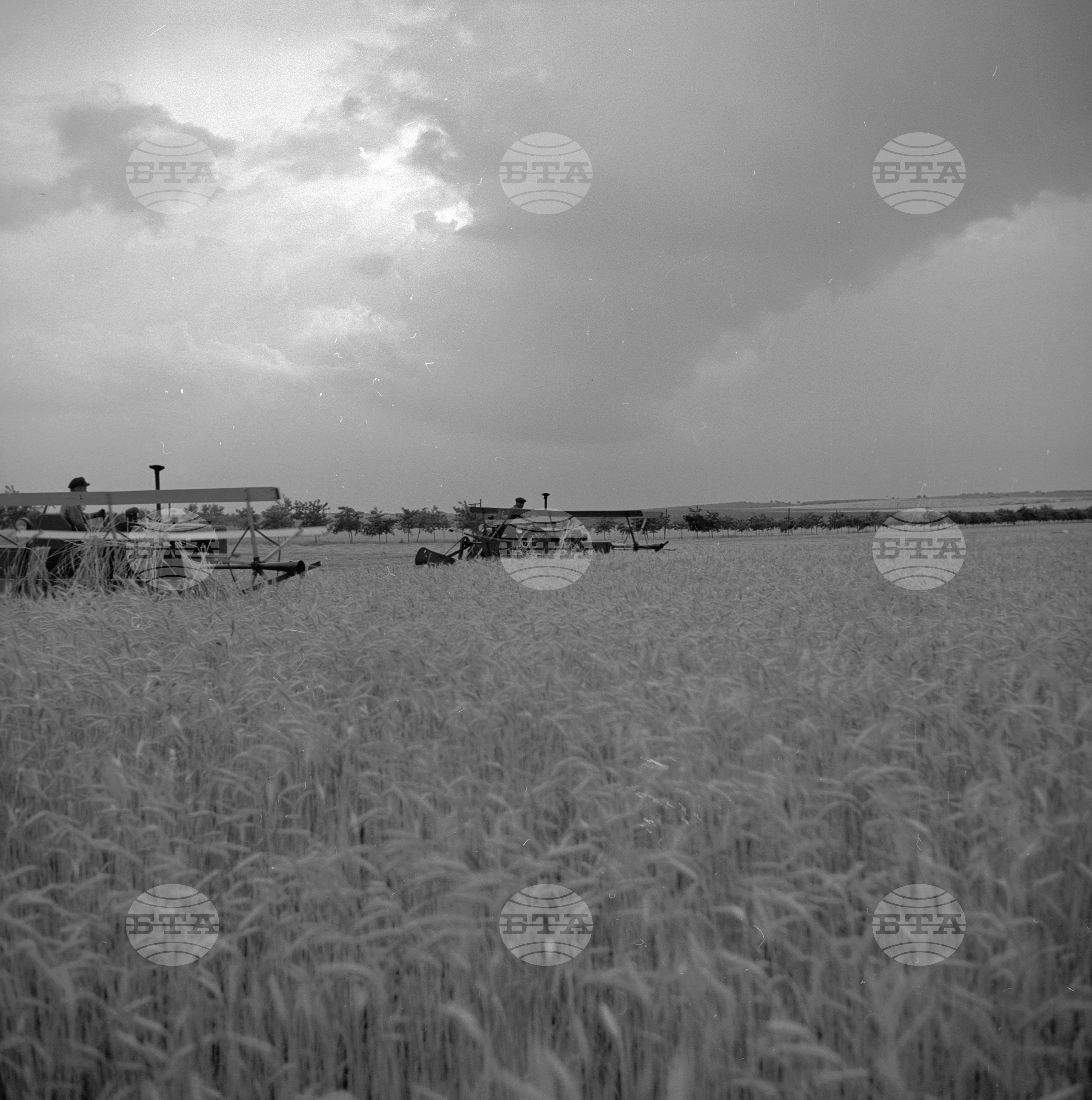 Жътвени дни в село Искра, Бургаски окръг