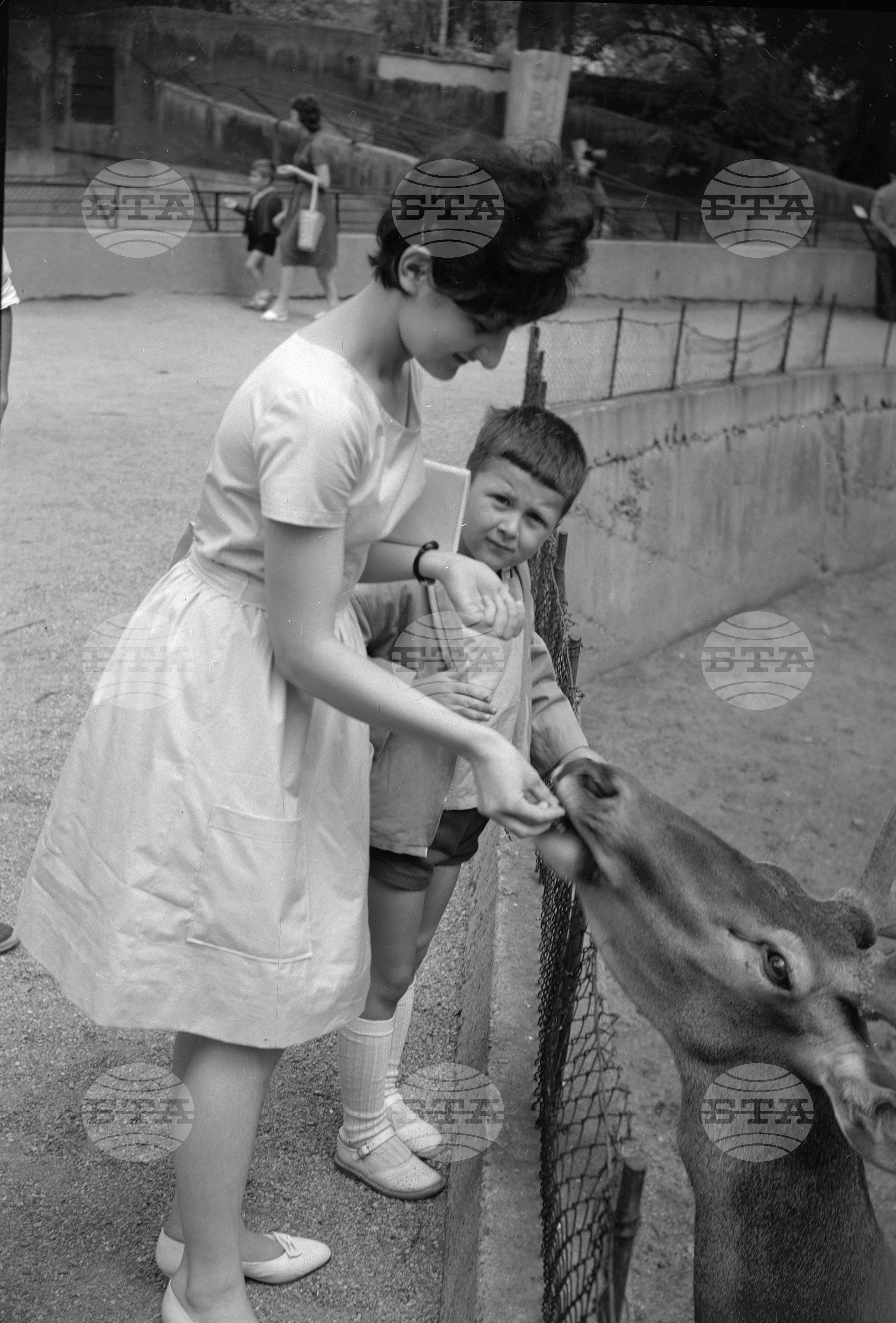 Зоологическа градина София - 1962 година
