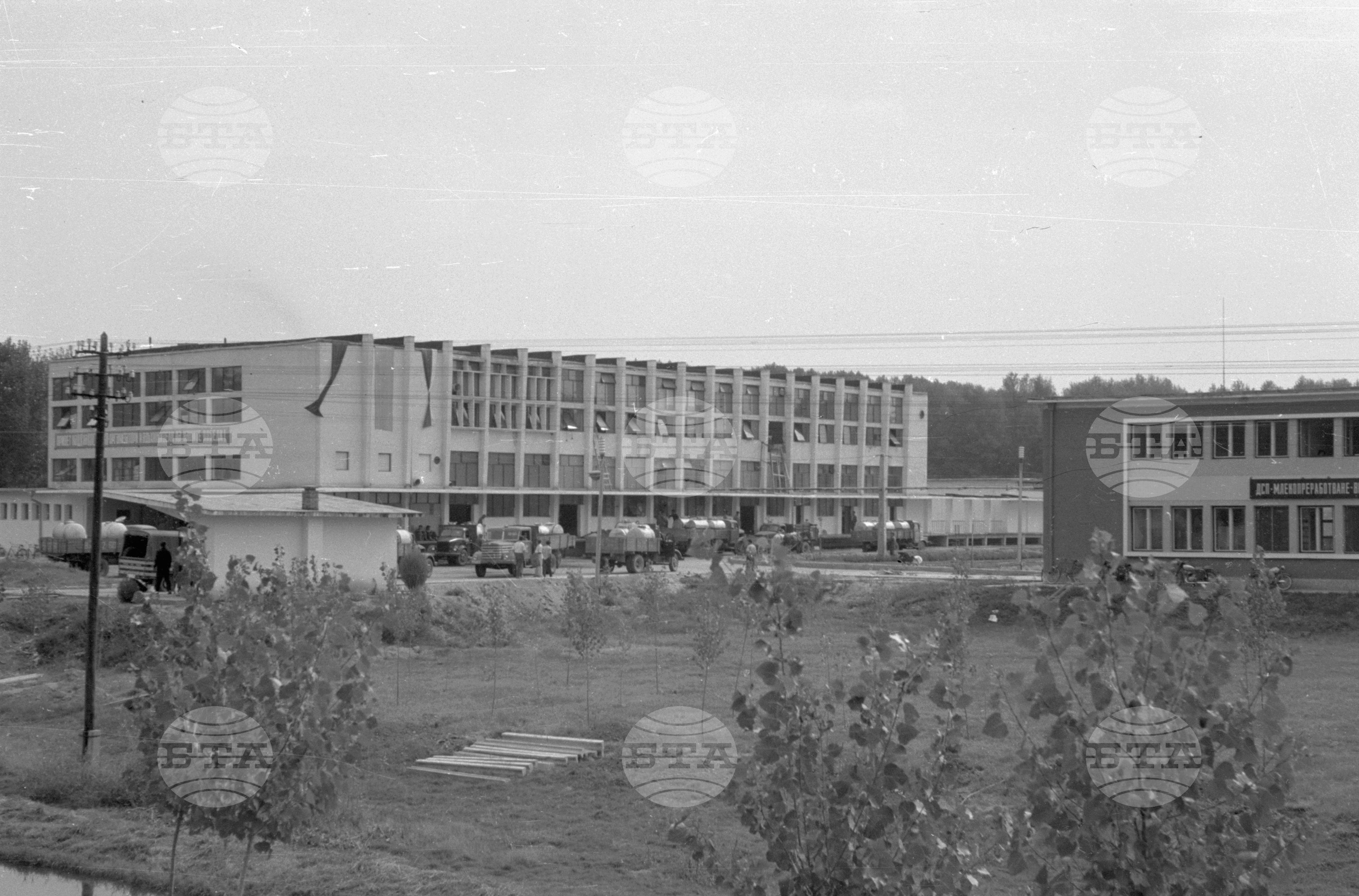 Из Видински окръг 1963 година