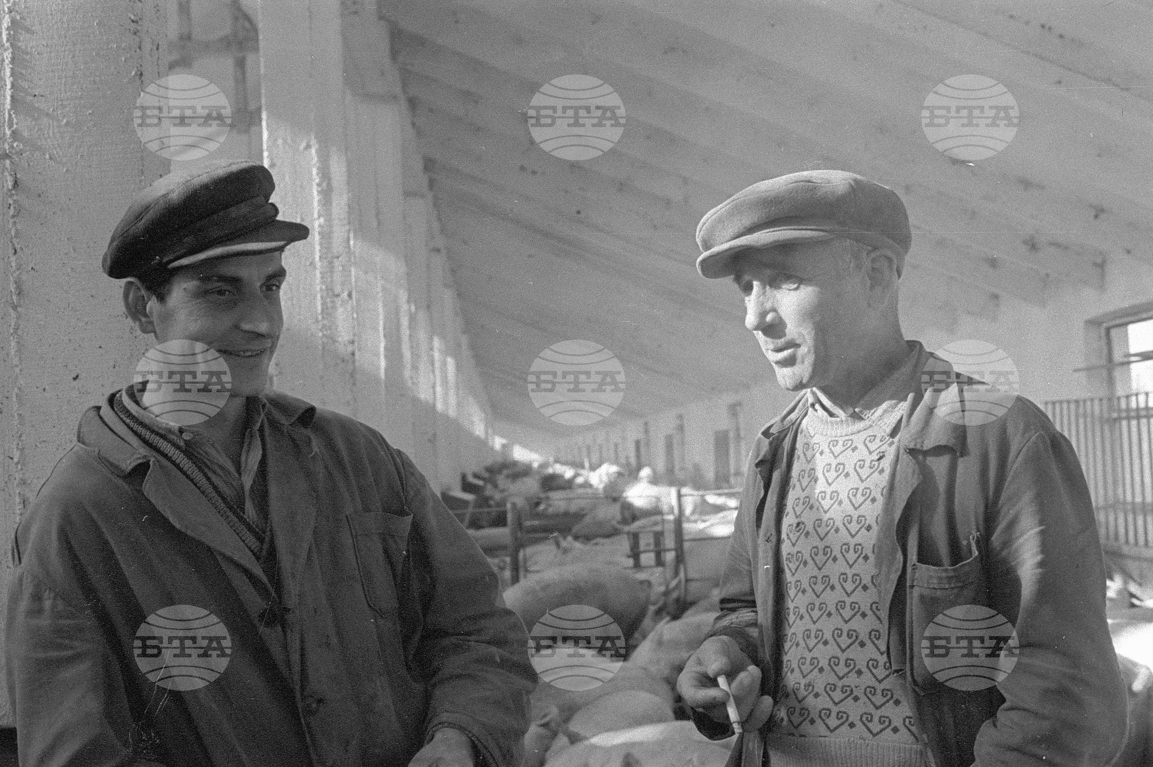 Комплекс за производство на свинско месо на ТКЗС (Трудово кооперативно земеделско стопанство) - град Попово