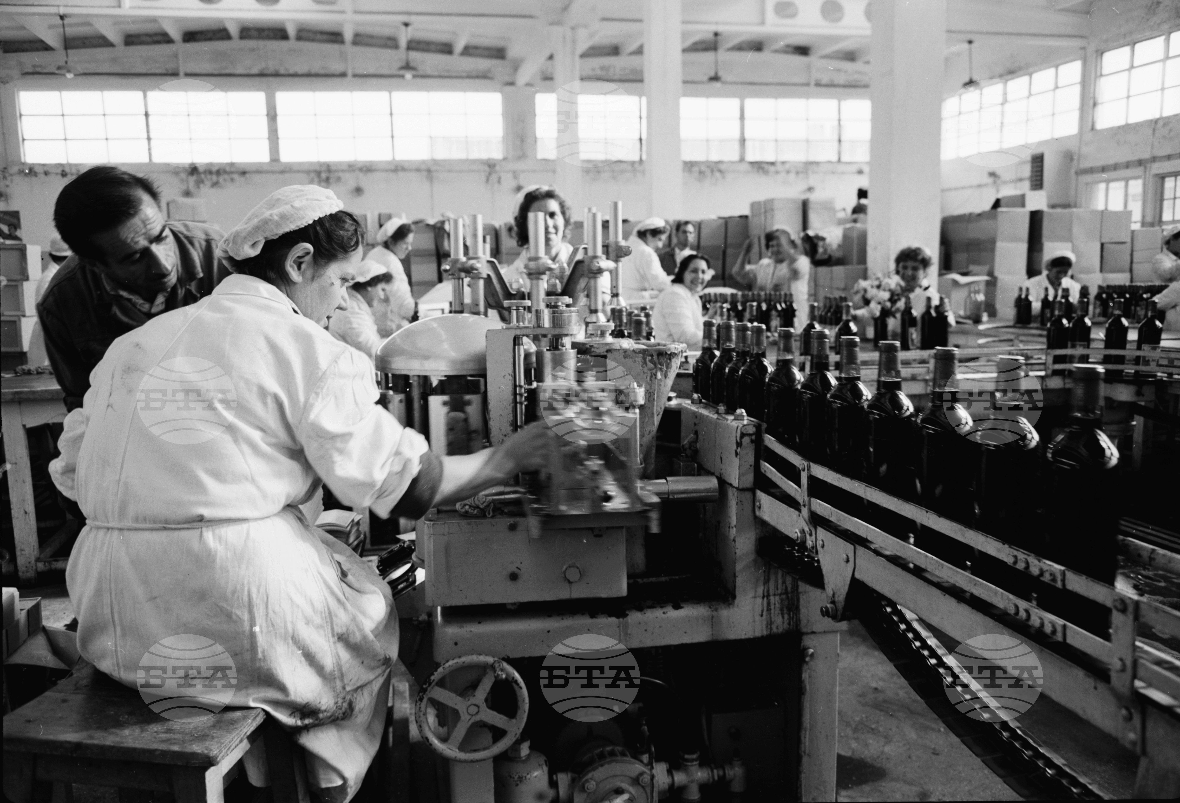 Завод преработка и стабилизация на вината край София