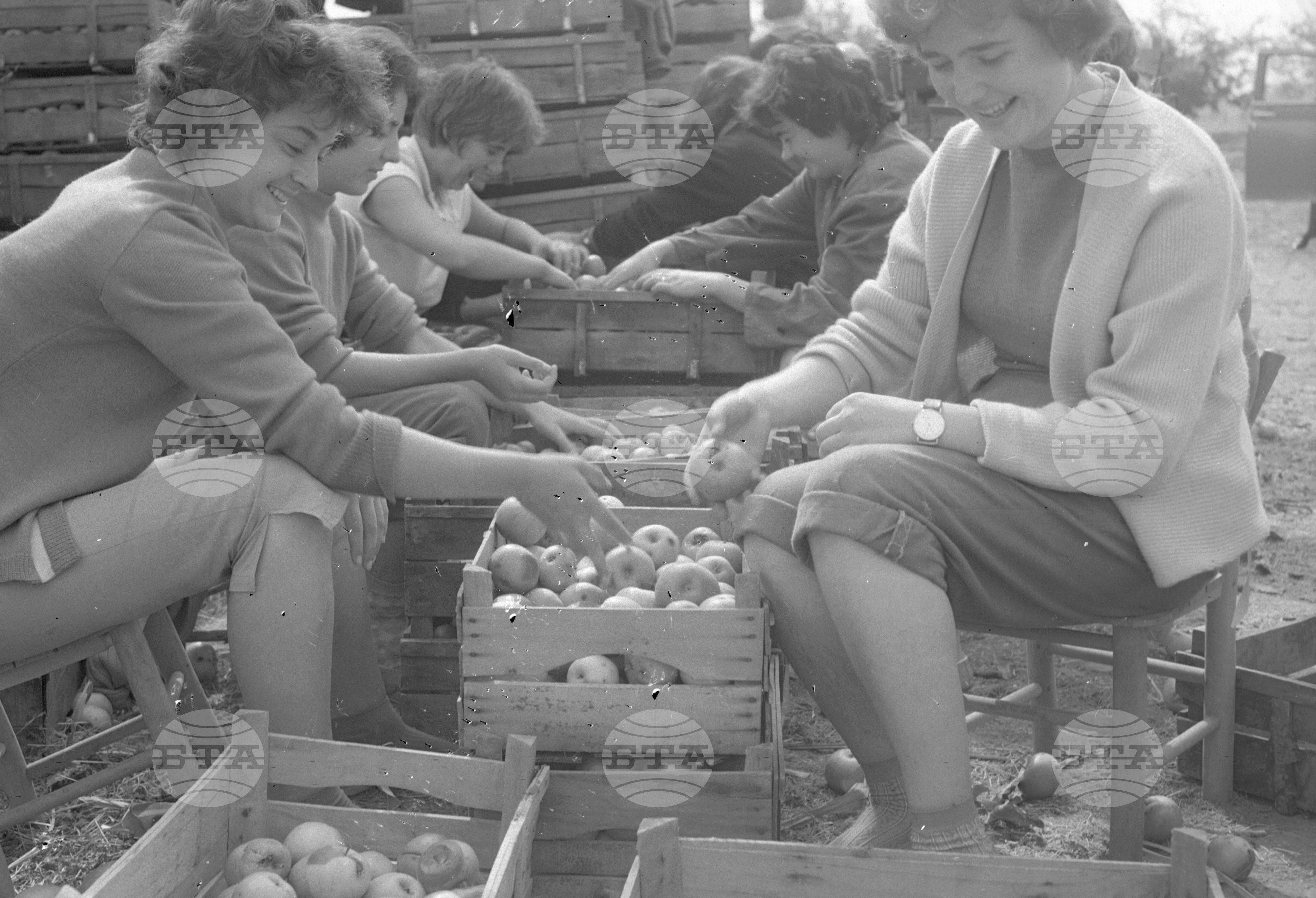 Из Кюстендилски окръг - септември 1962 година