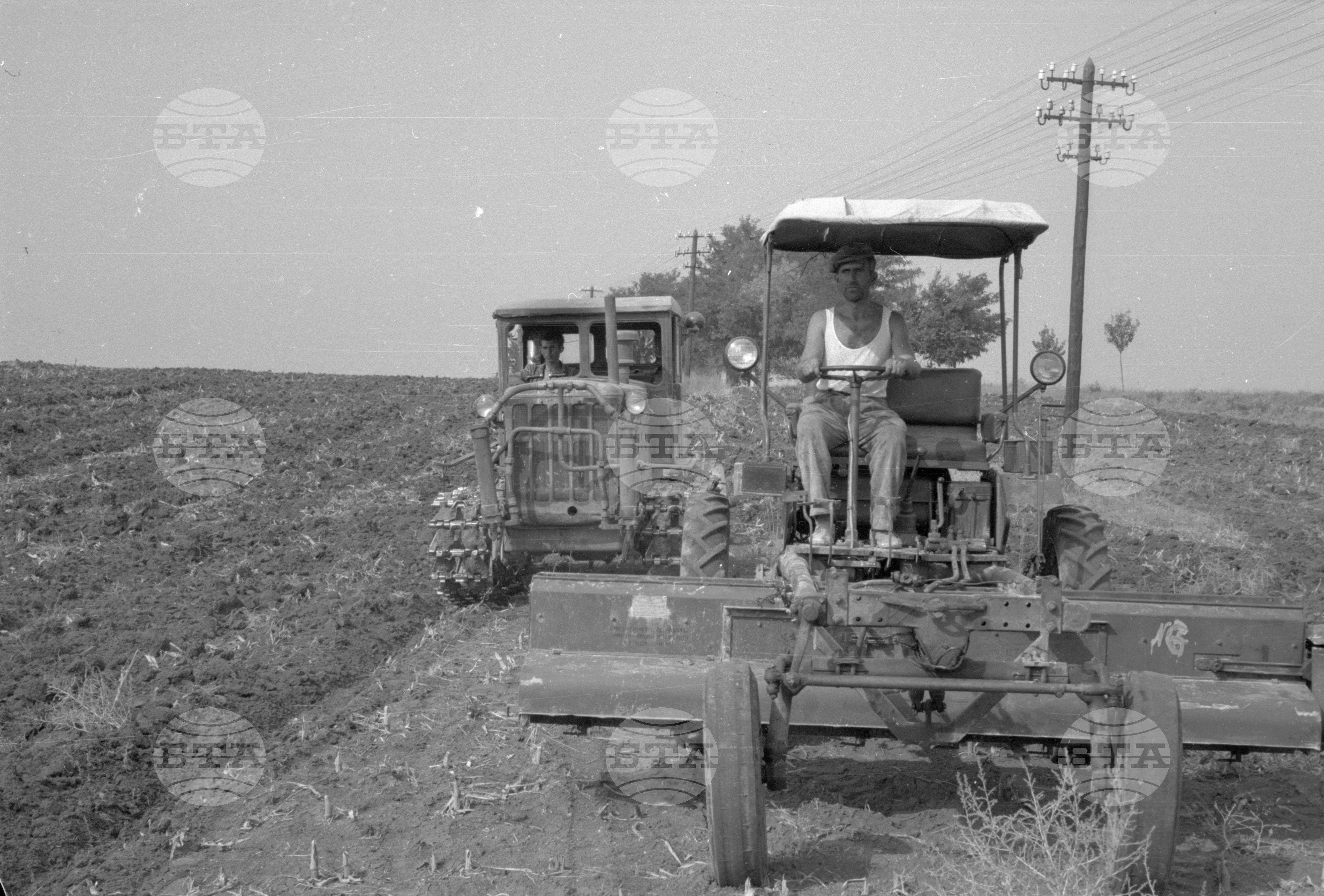 Есенна сеитба във Видин - 1963