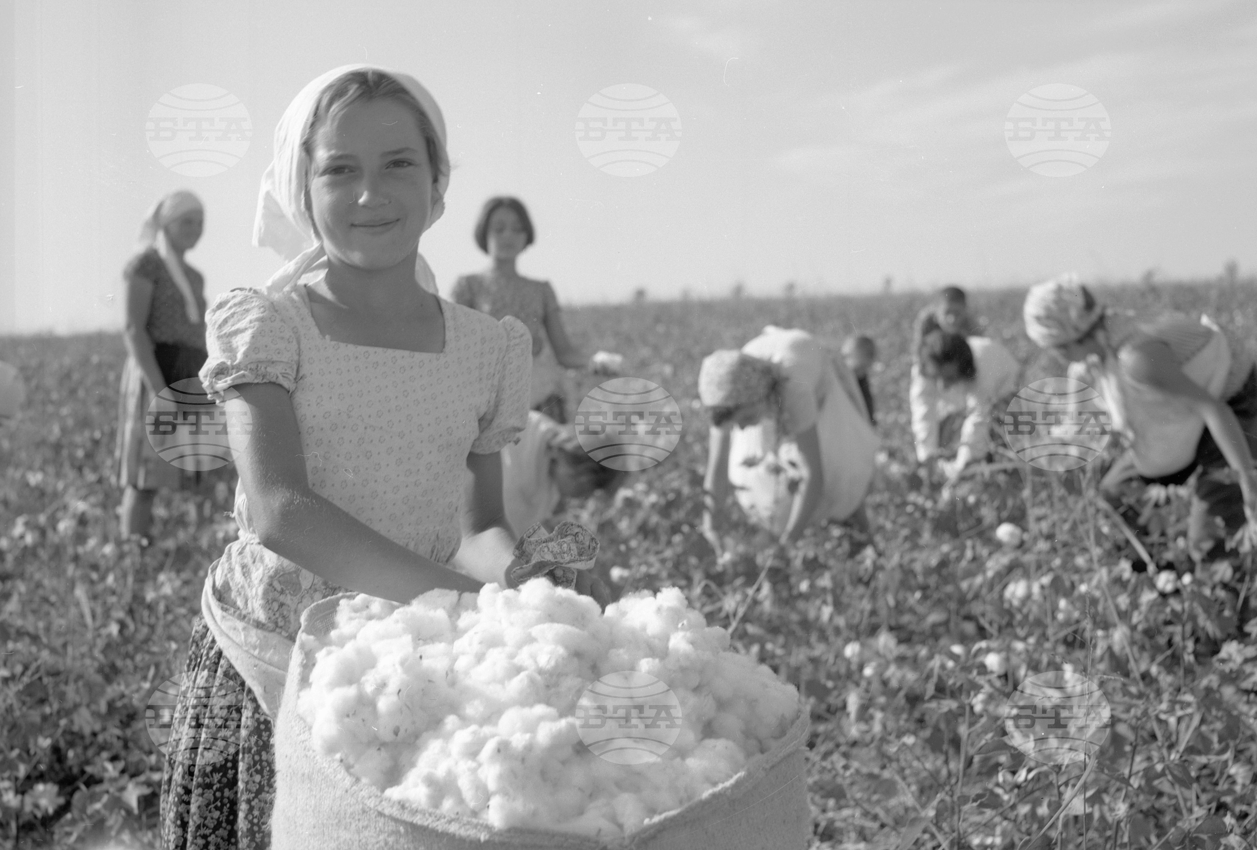 Трудово кооперативно земеделско стопанство (ТКЗС) село Горна Студена, Търновски окръг