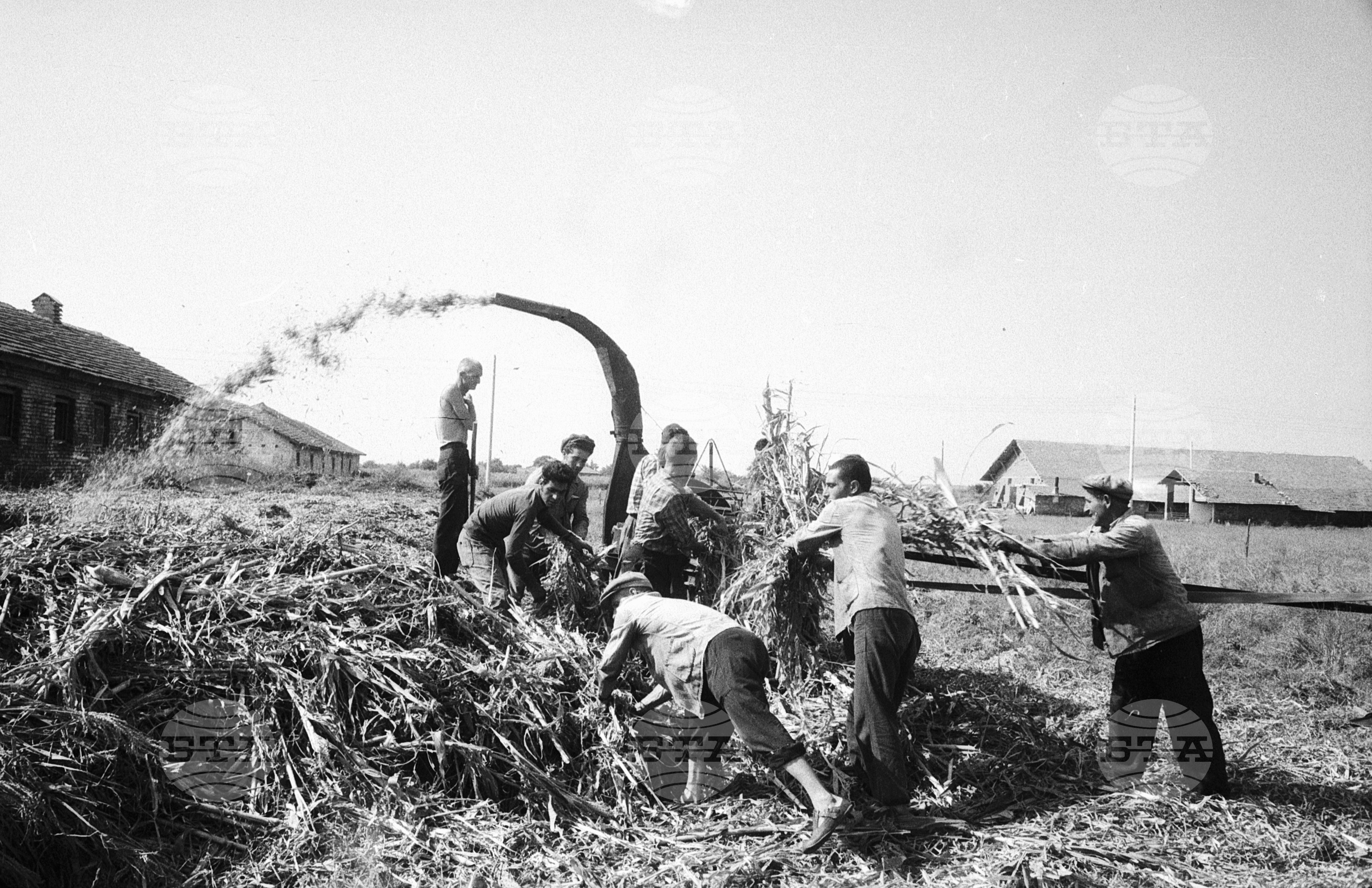 Из Старозагорски окръг 1963 година