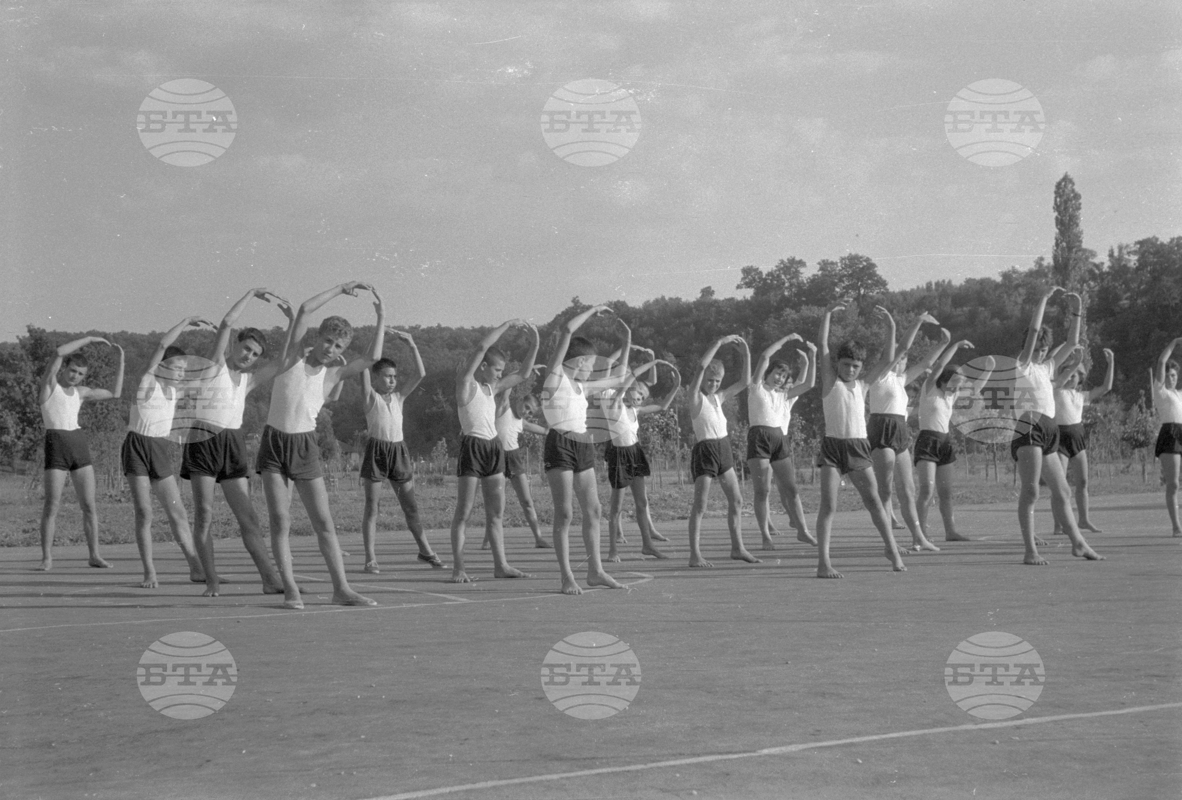 Трудово-кооперативно земеделски стопанства (ТКЗС), Русенски окръг - 1963