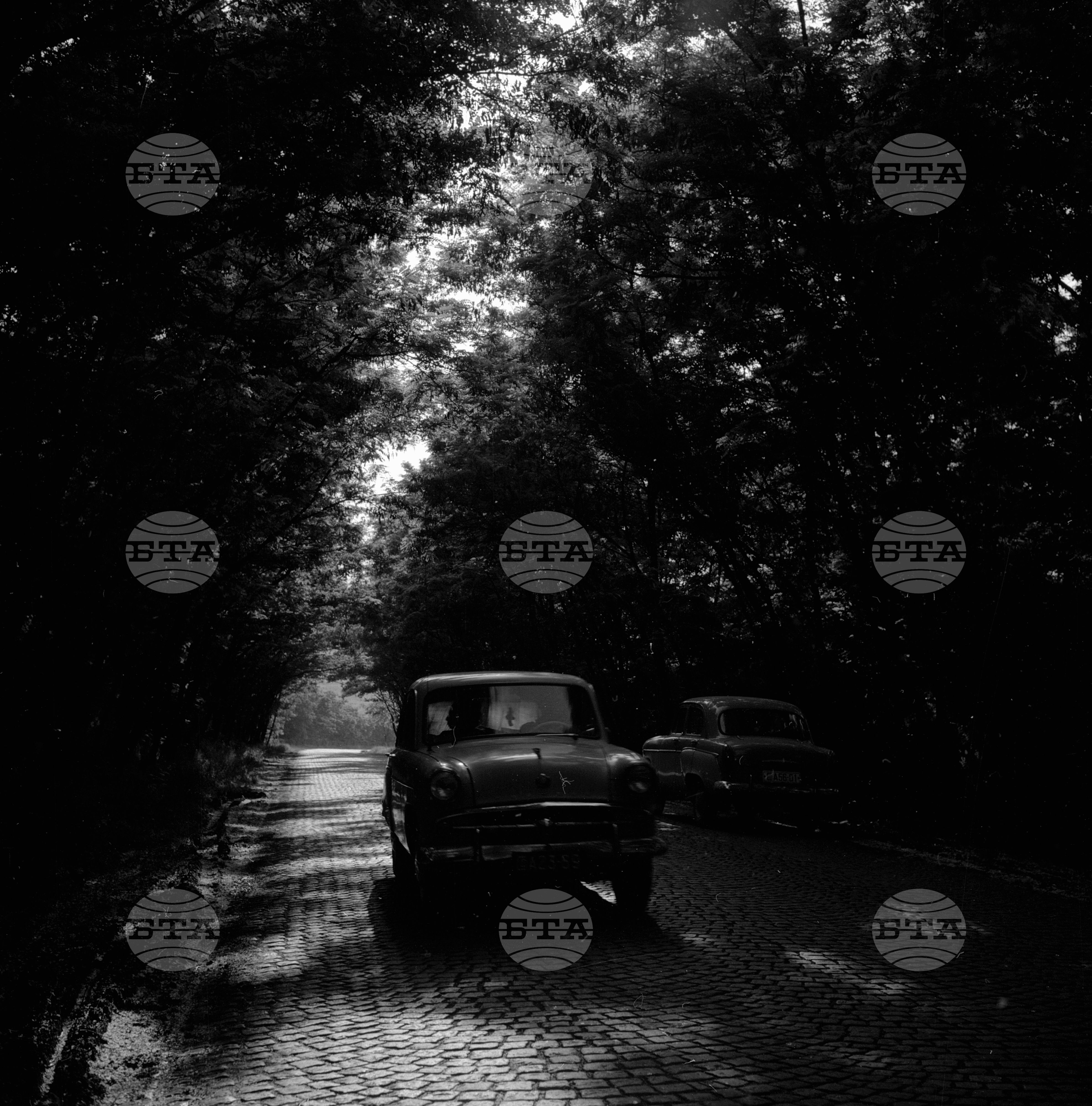 Из Пазарджишки окръг - 1963