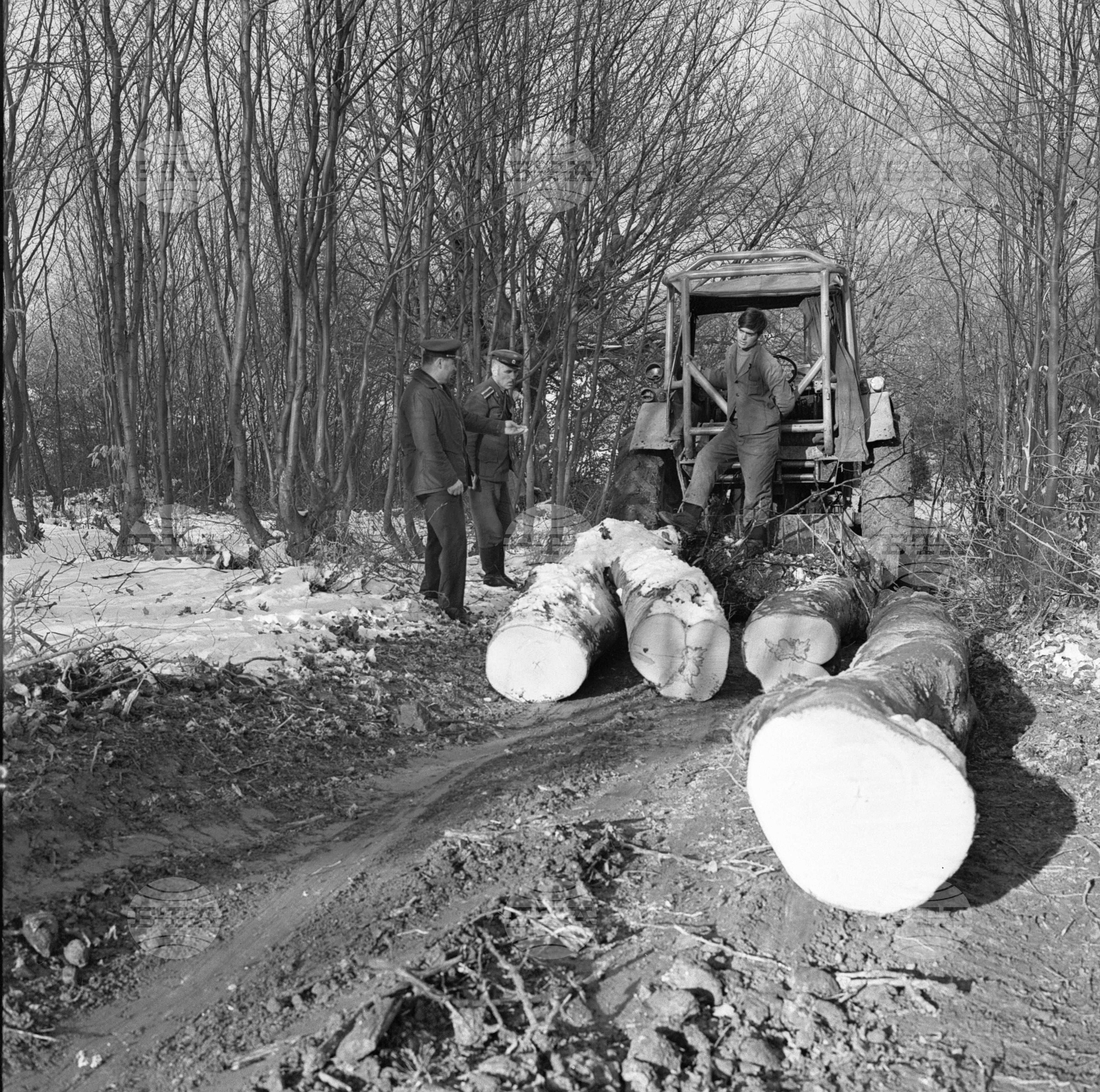 Горско стопанство в град Самоков - 1972 година