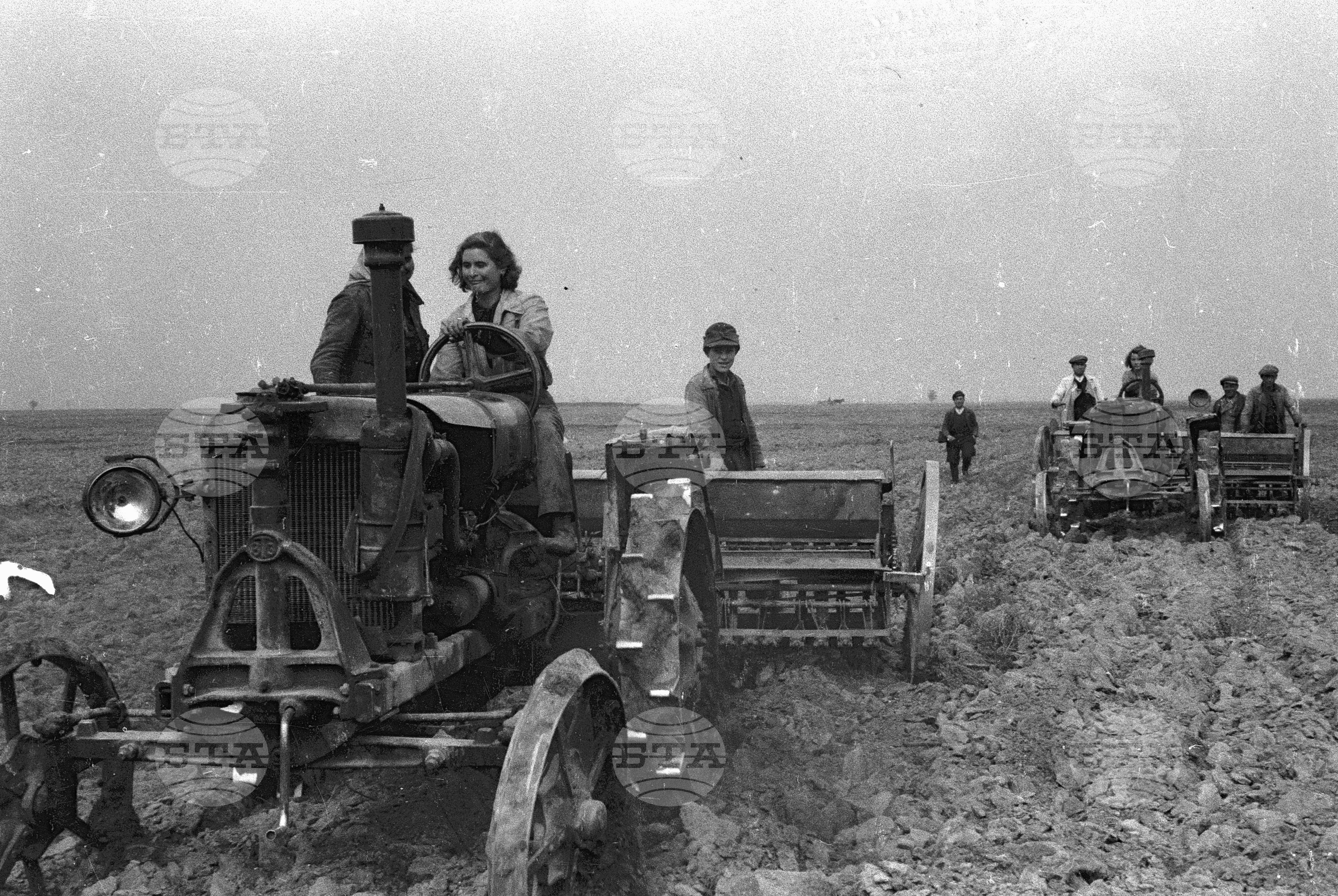 Трудово кооперативно земеделско сдружение (ТКЗС) Сухозем, 1951