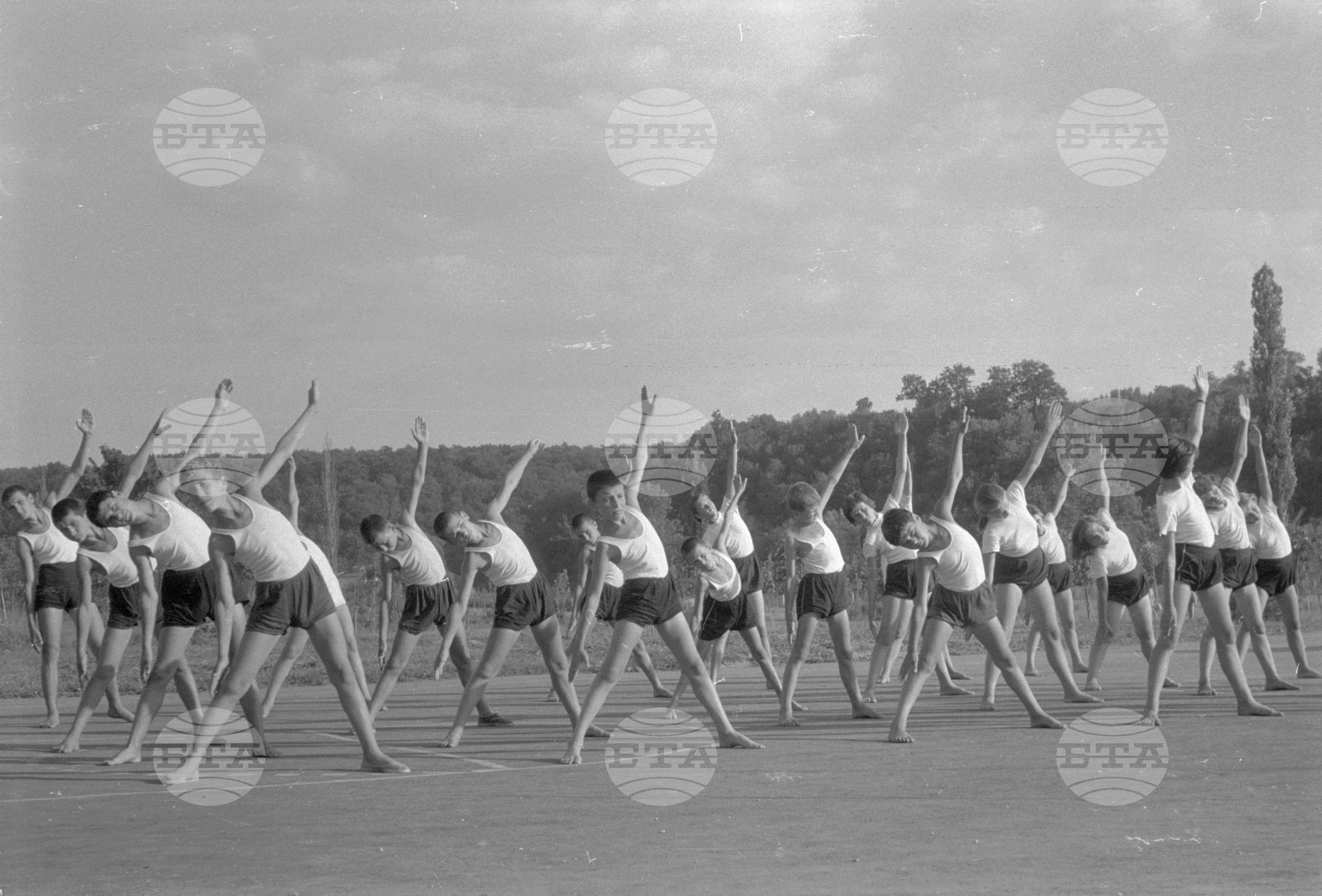 Трудово-кооперативно земеделски стопанства (ТКЗС), Русенски окръг - 1963