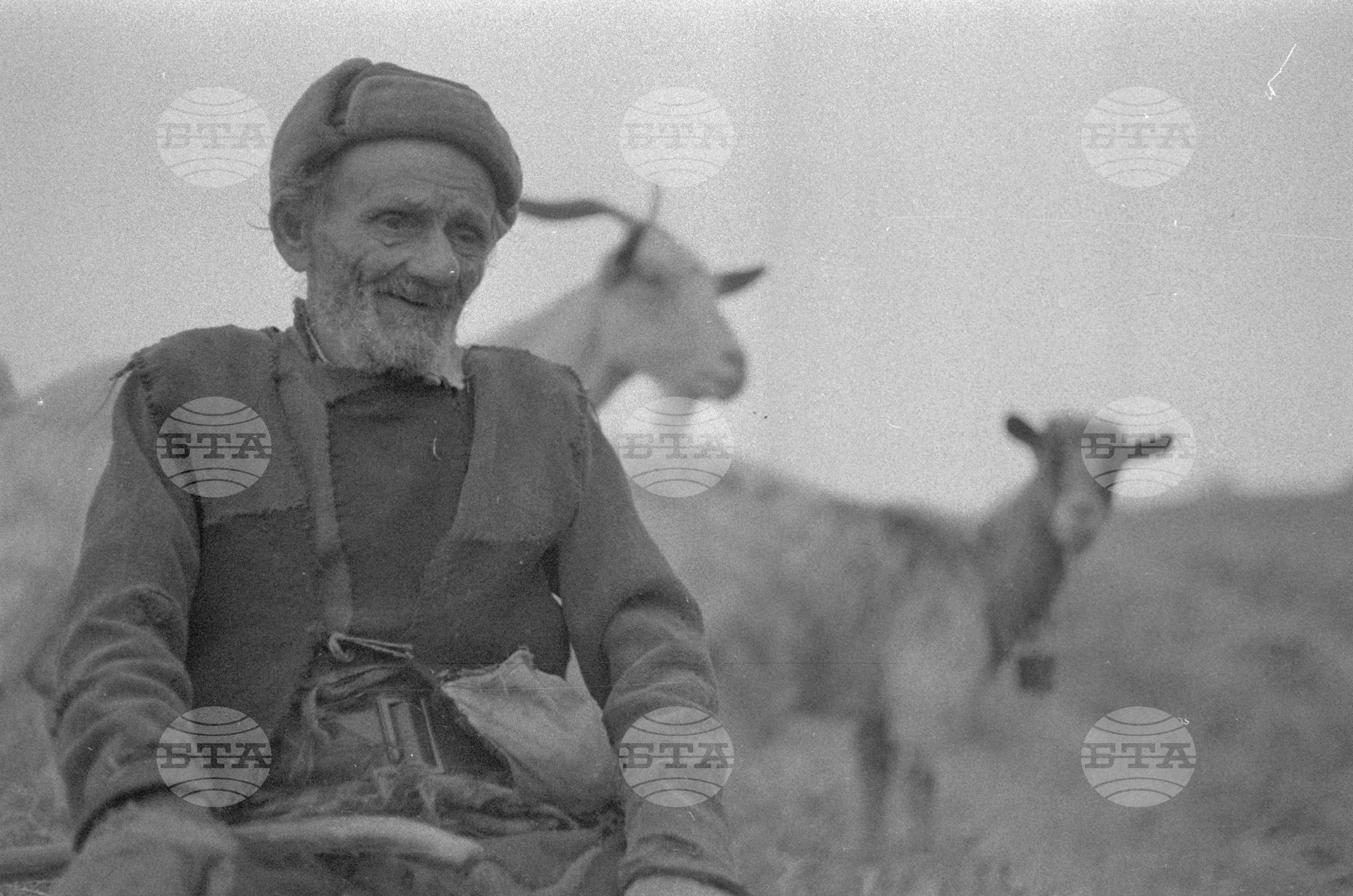 Огражден планина