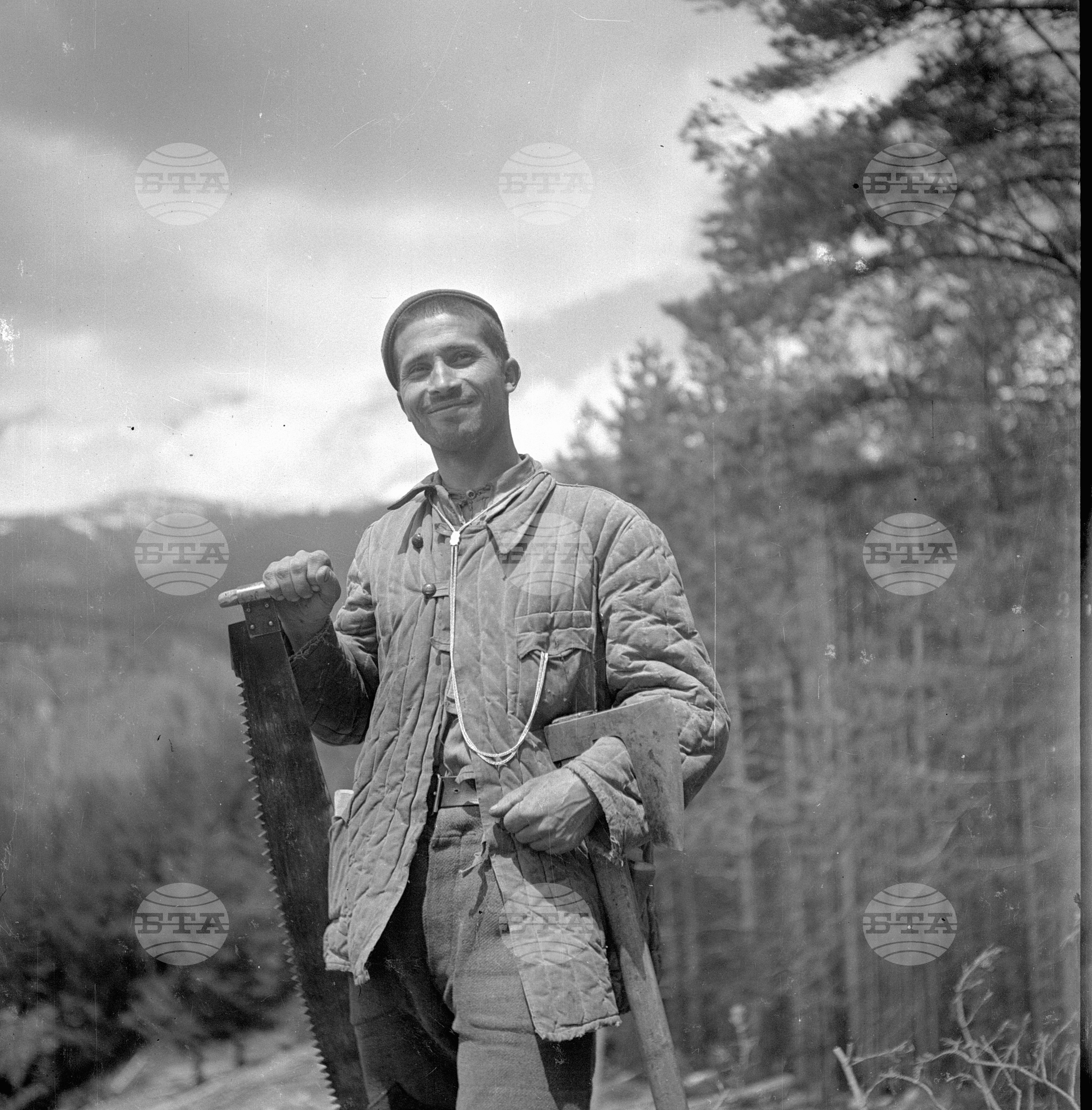 Дърводобив в държавни горски стопанства, 1951 - част 3