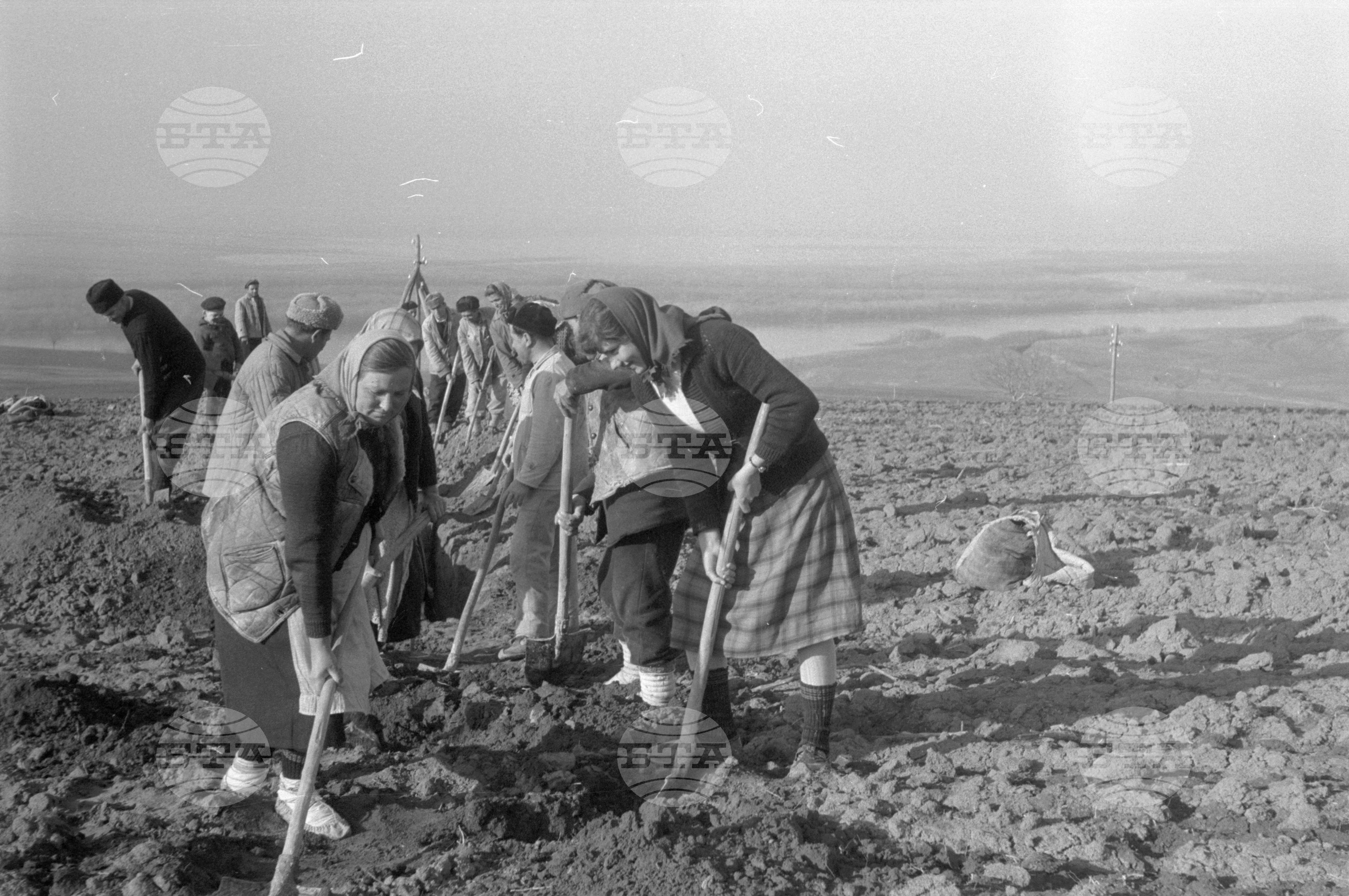 На строежа на напоителната система край село Пиргово, Русенски окръг