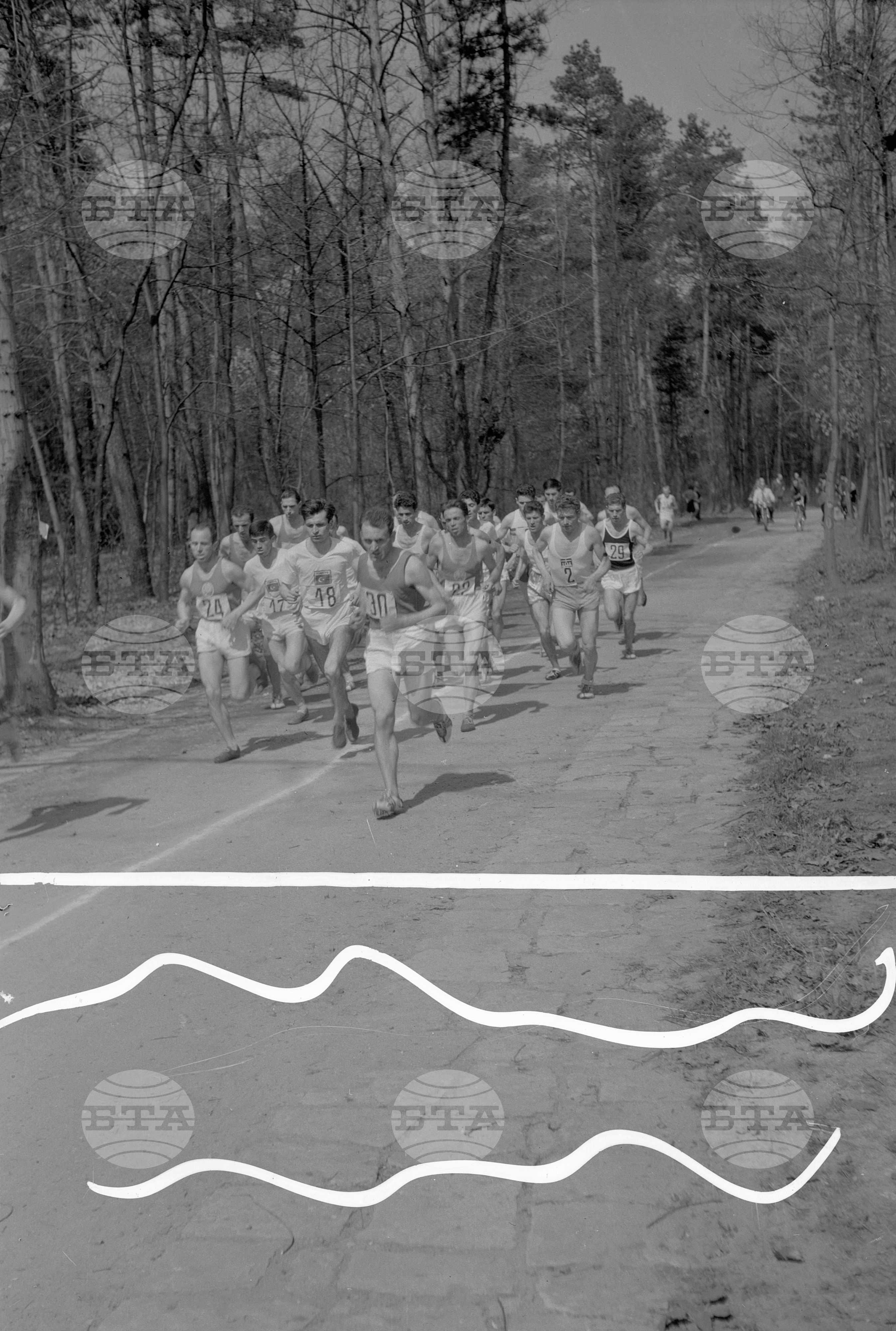 Шестия Балкански лекоатлетически крос в София
