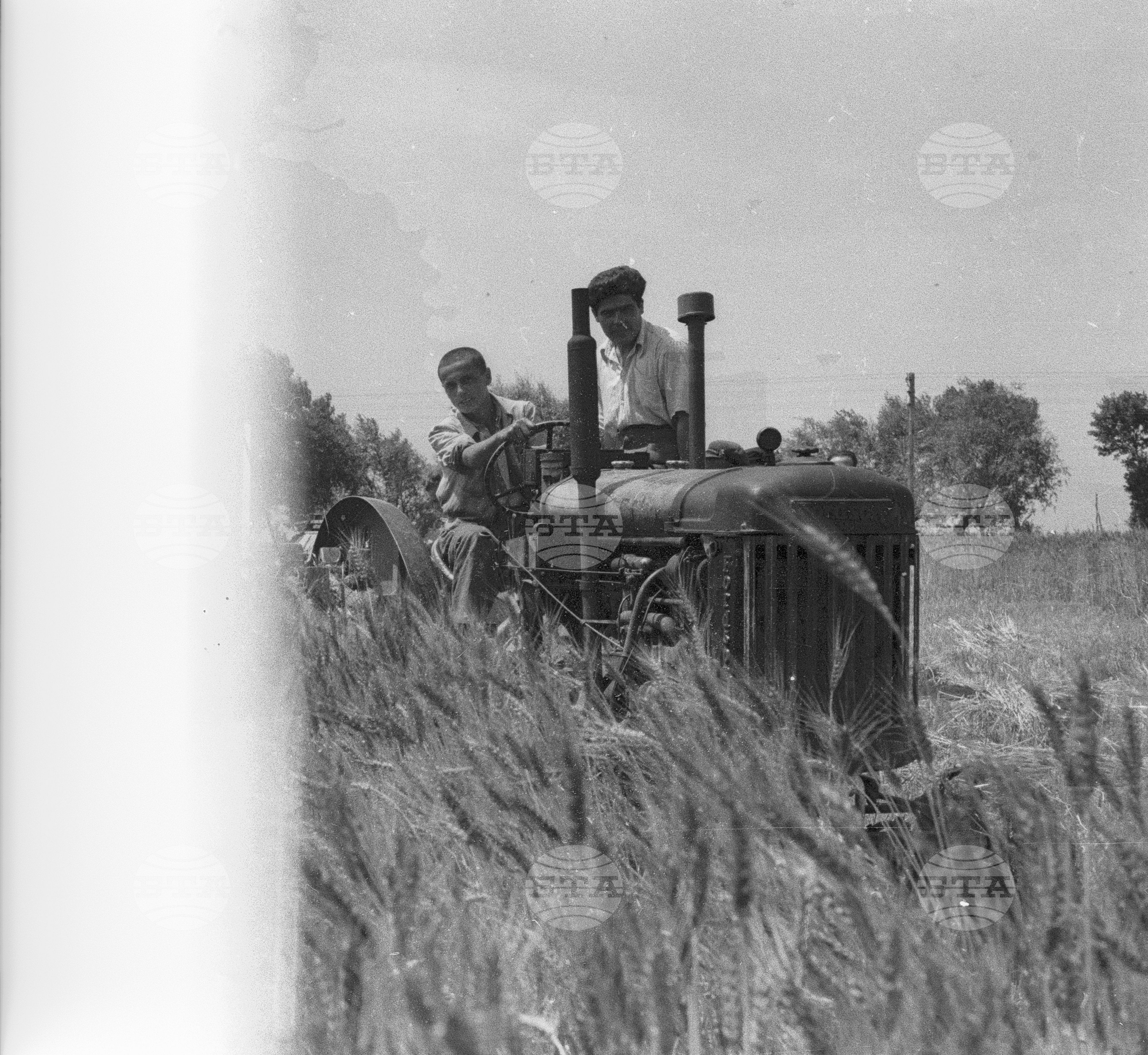 Жътва в Голямо Конаре (дн. гр. Съединение), 1951