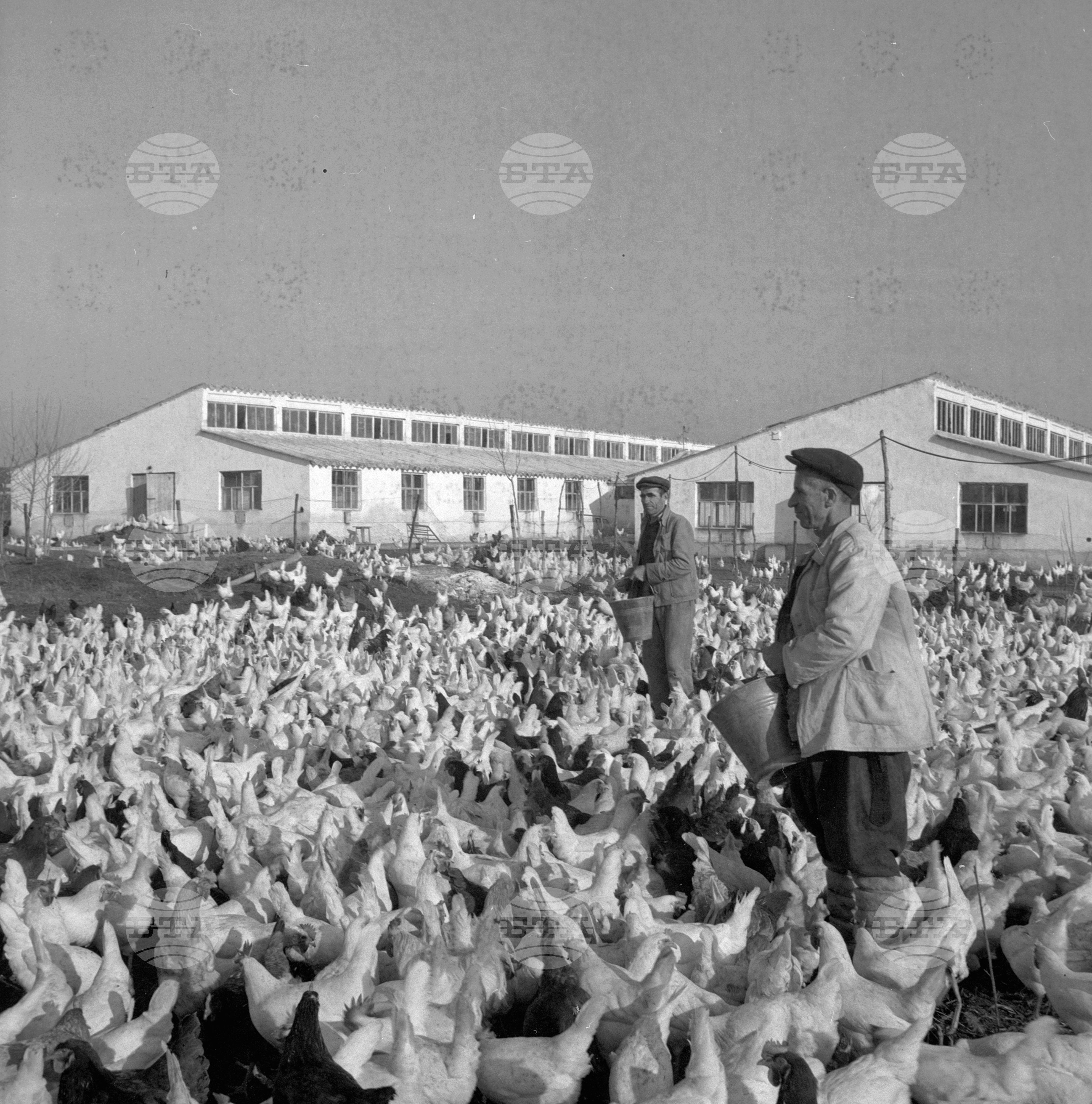 В село Овчи Кладенец, Ямболски окръг