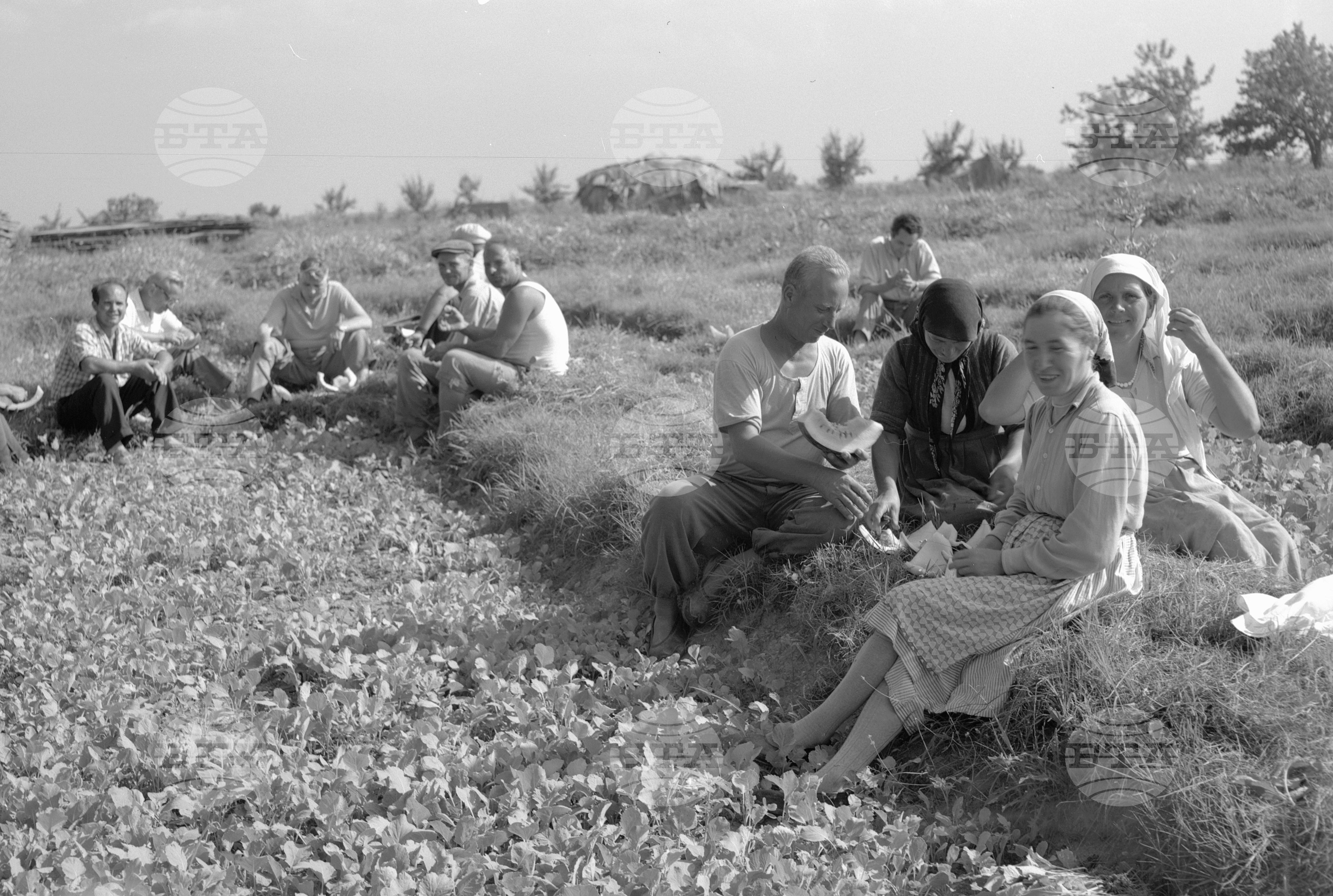 Из Пловдивски окръг - 1963 - част 2